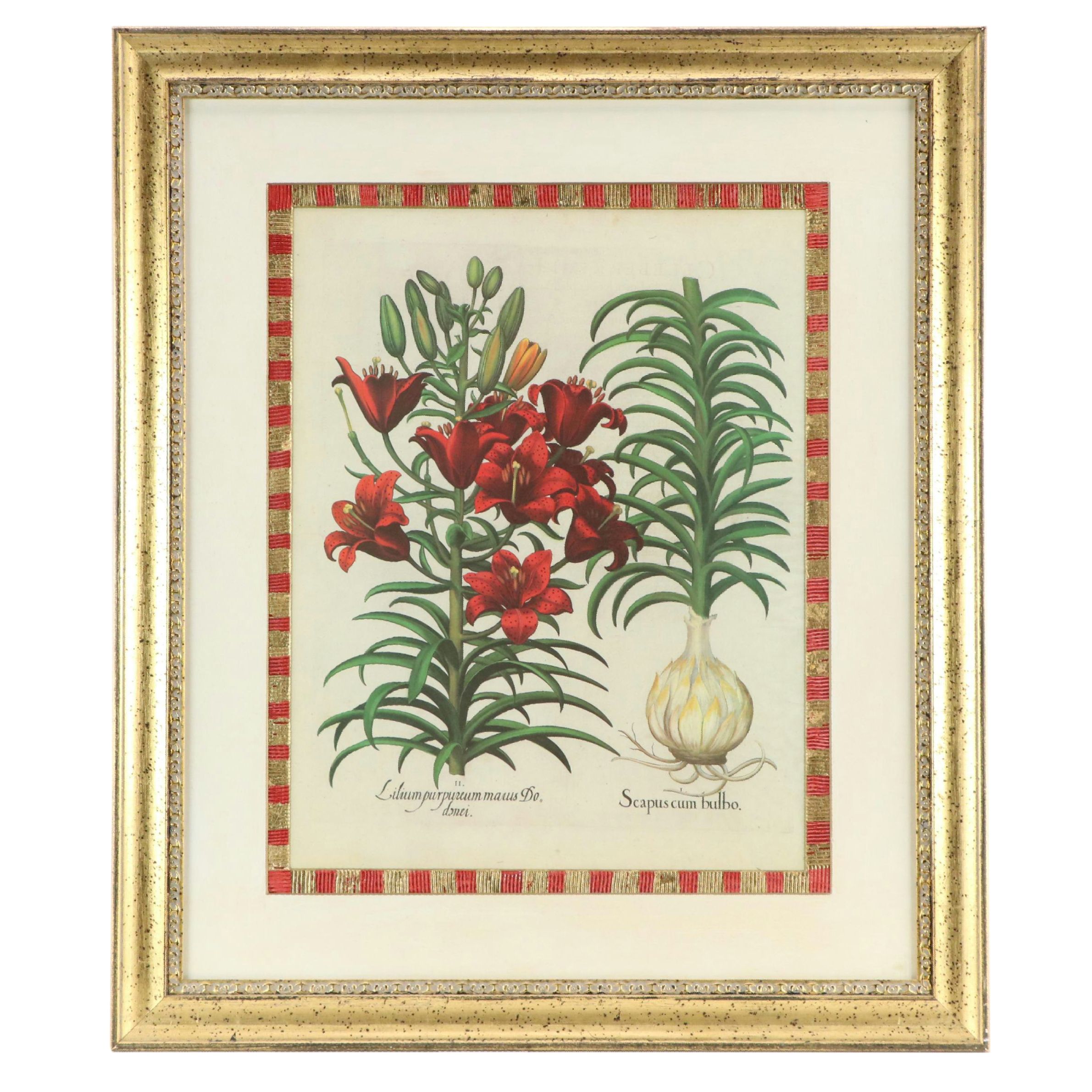 Nancy Ross Interiors Offset Lithograph "Floral I"