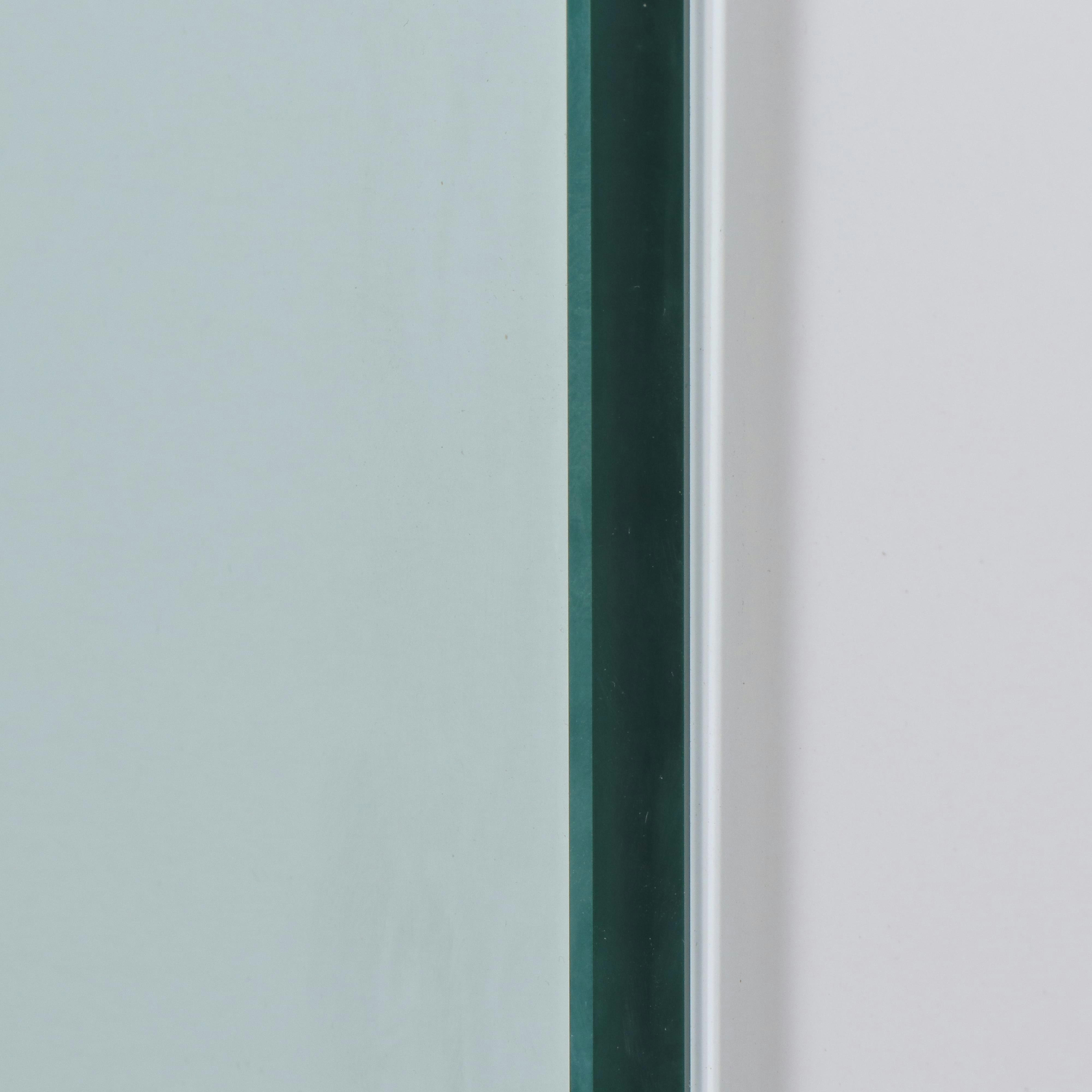 Glass Warehouse GW-D-25-5 Pivot/Hinged Frameless Shower Door