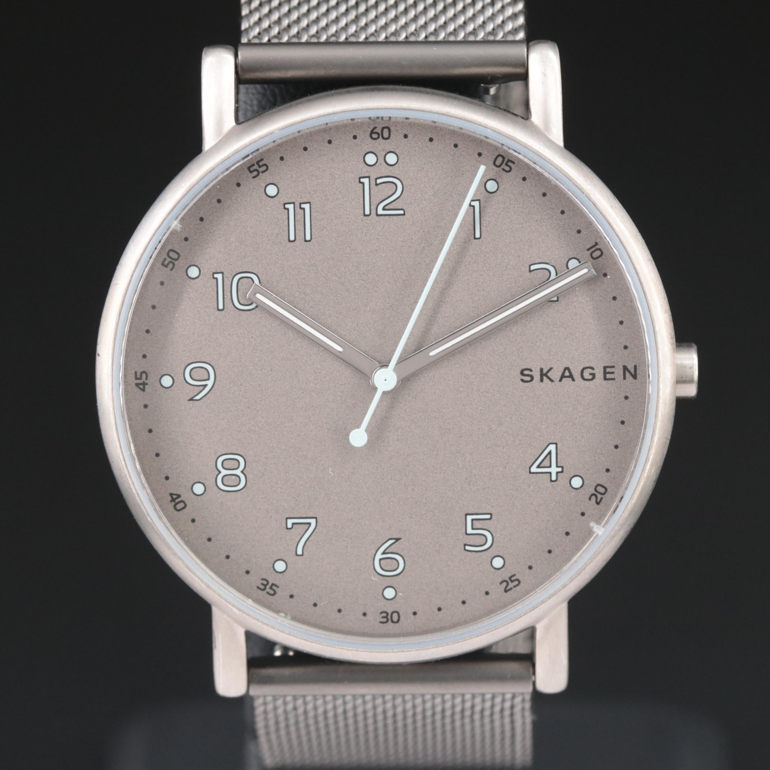 Skagen Signatur 40mm Titanium Watch