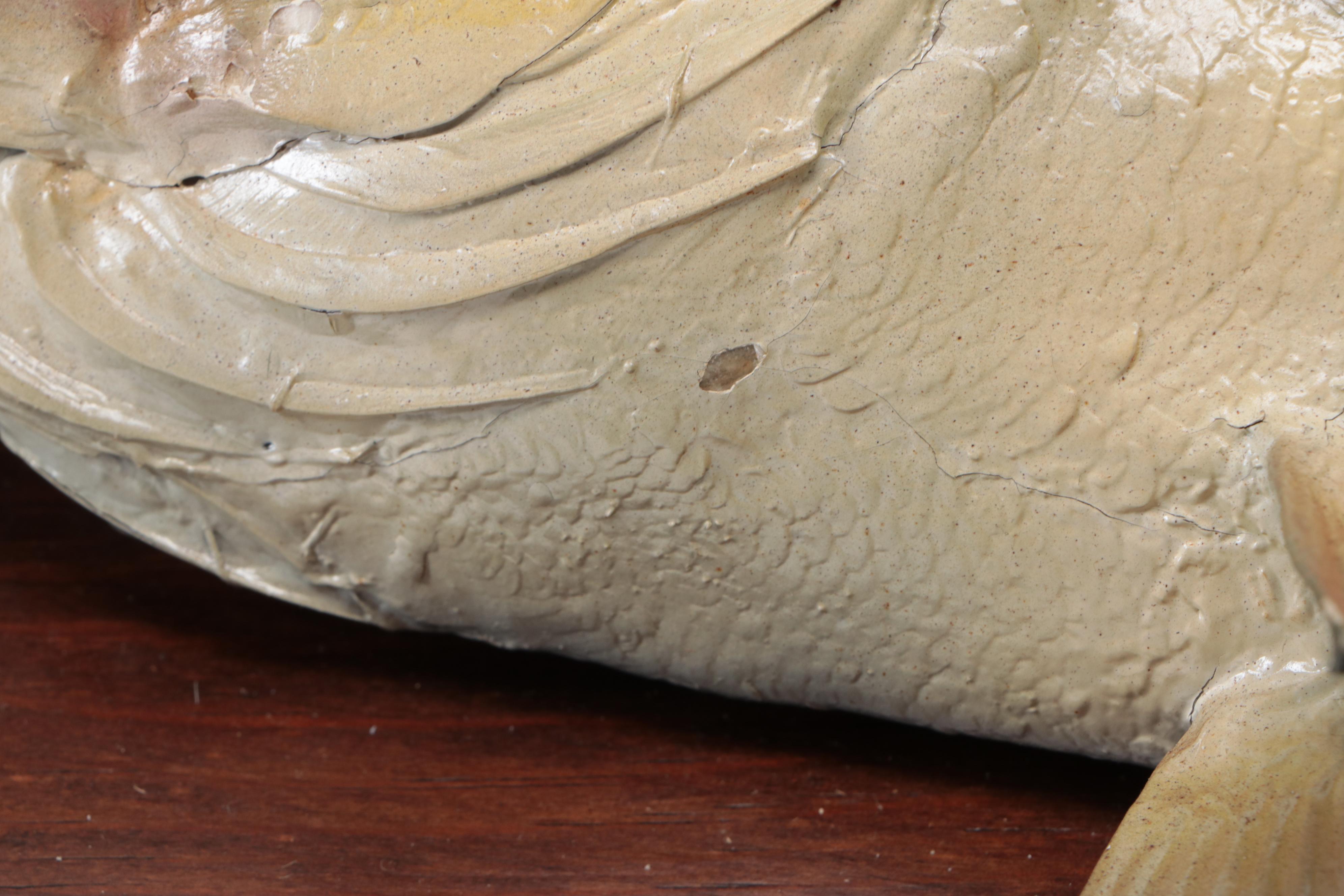 Taxidermy Largemouth Bass Full Body Mount on Wood Plaque