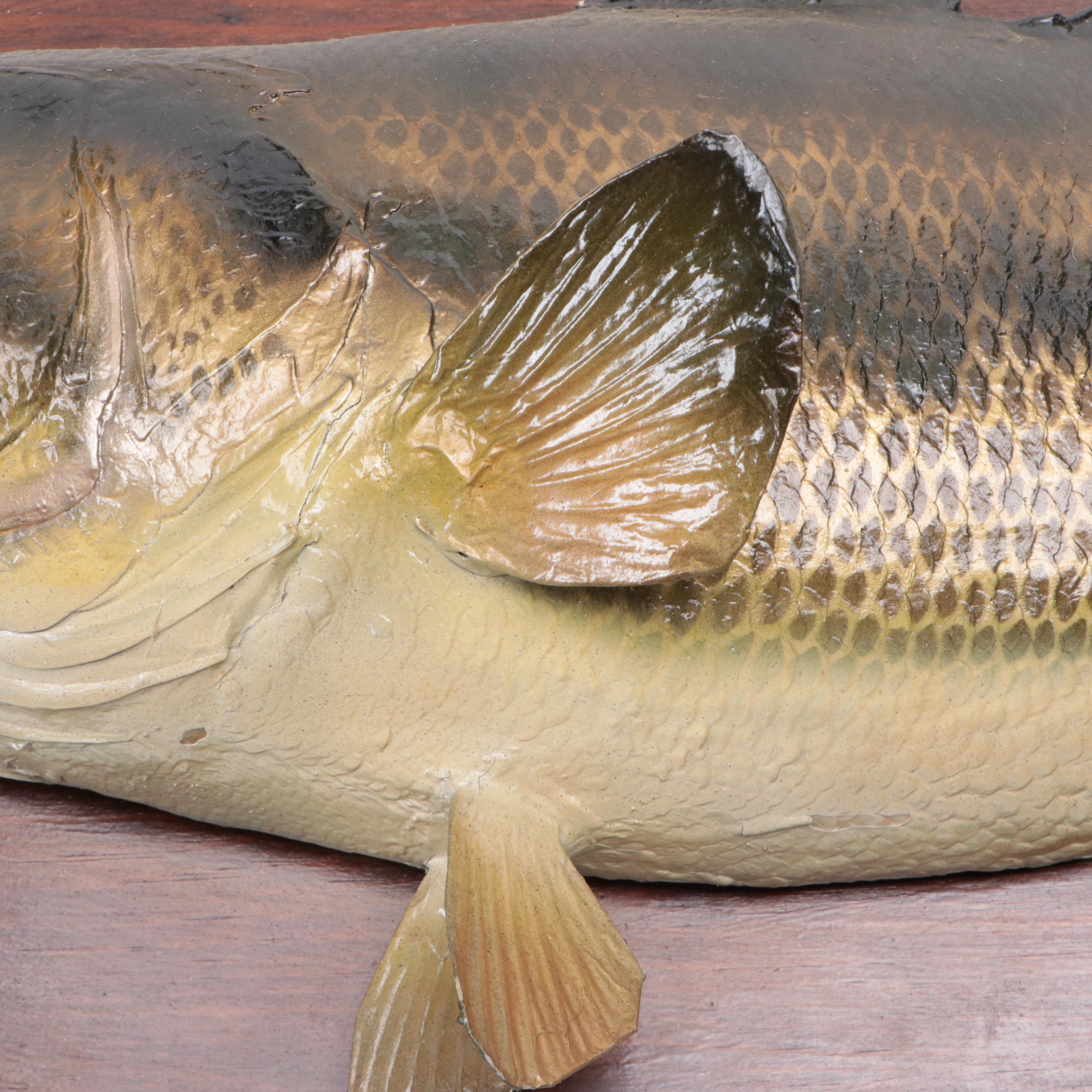 Taxidermy Largemouth Bass Full Body Mount on Wood Plaque