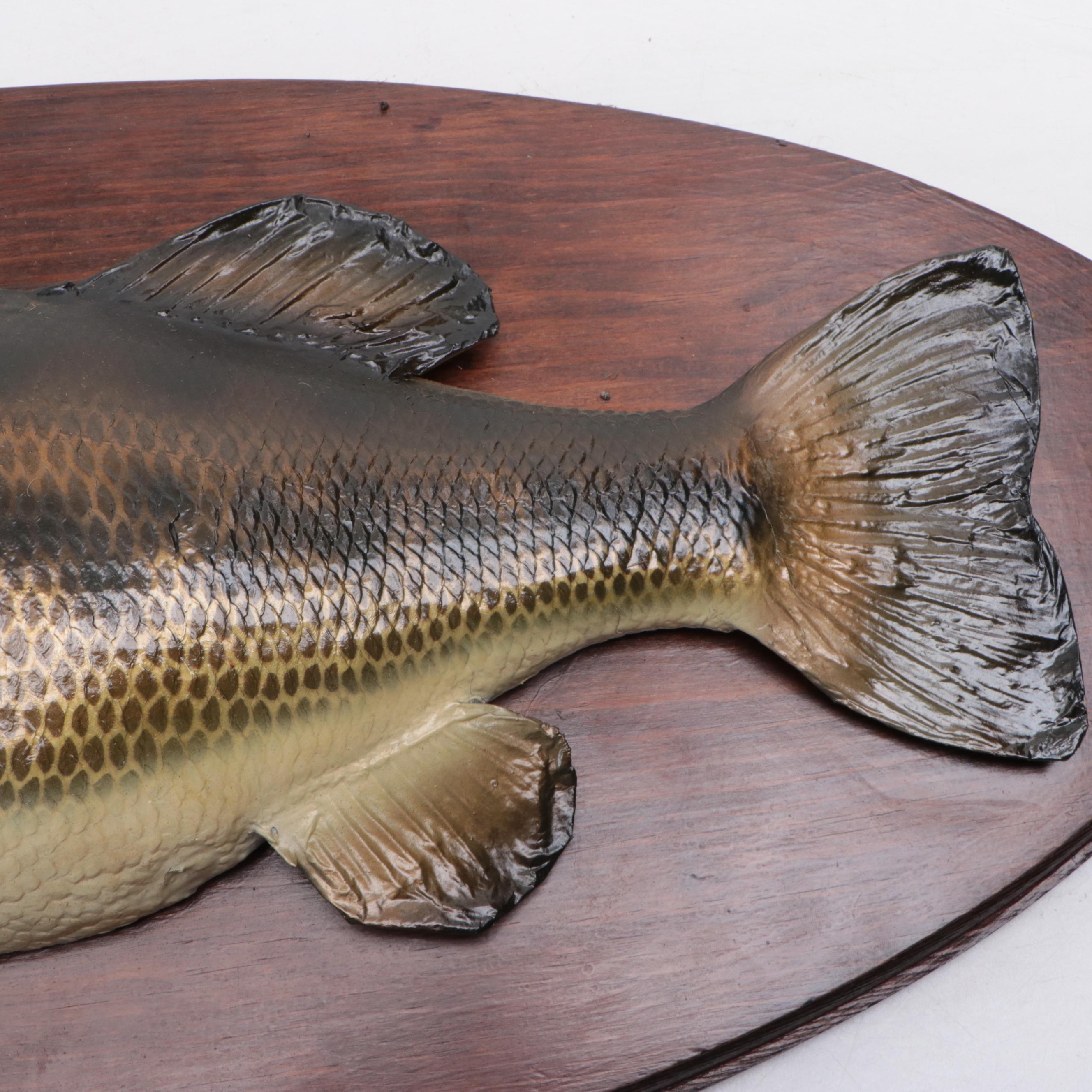 Taxidermy Largemouth Bass Full Body Mount on Wood Plaque