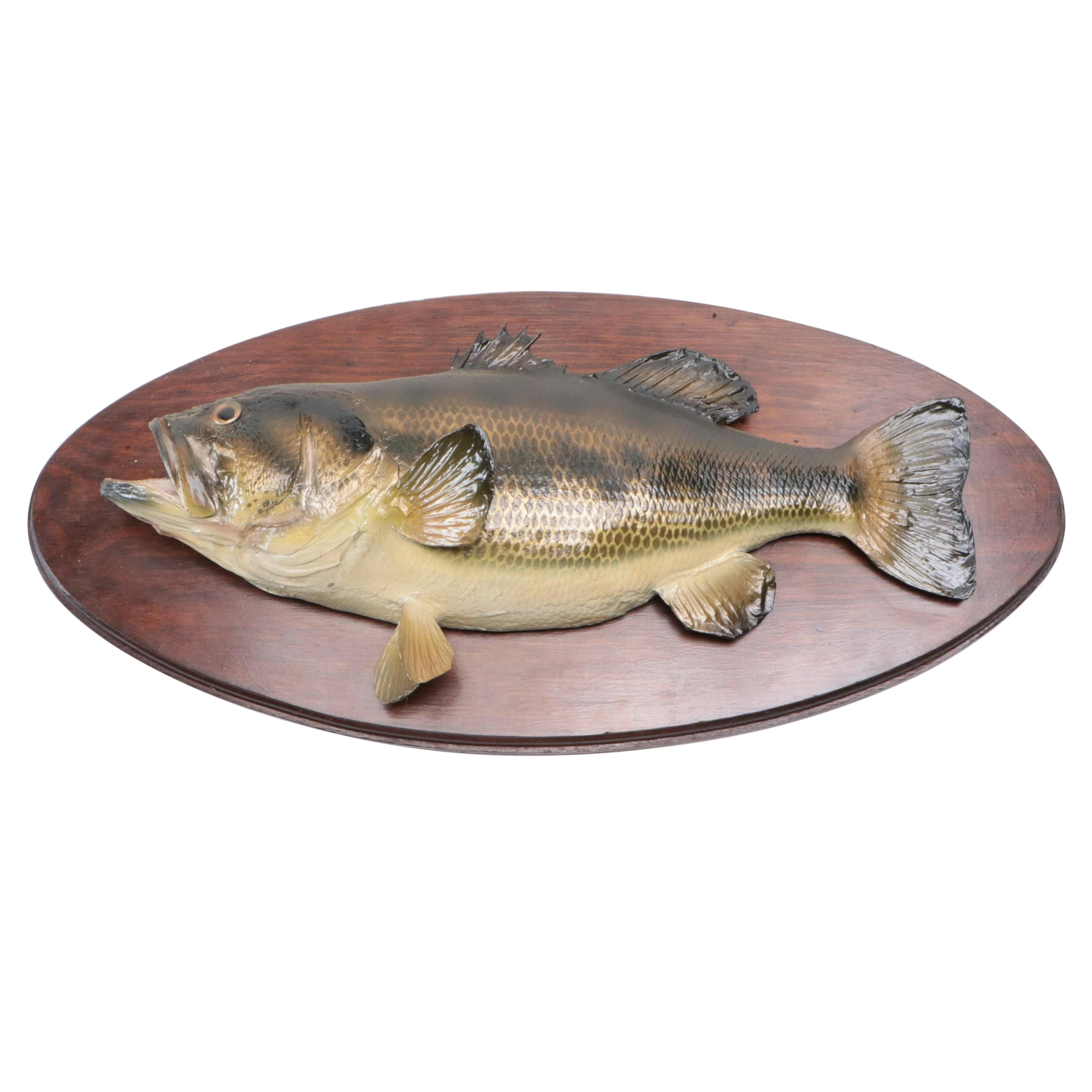 Taxidermy Largemouth Bass Full Body Mount on Wood Plaque