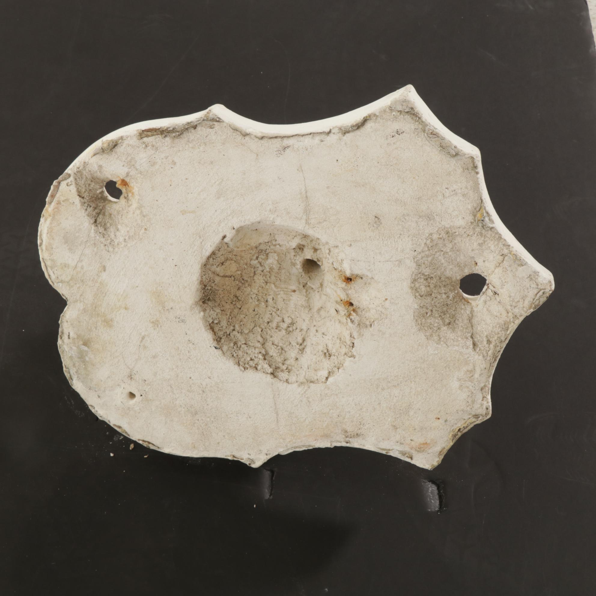 Plaster Lion Head Wall Mount