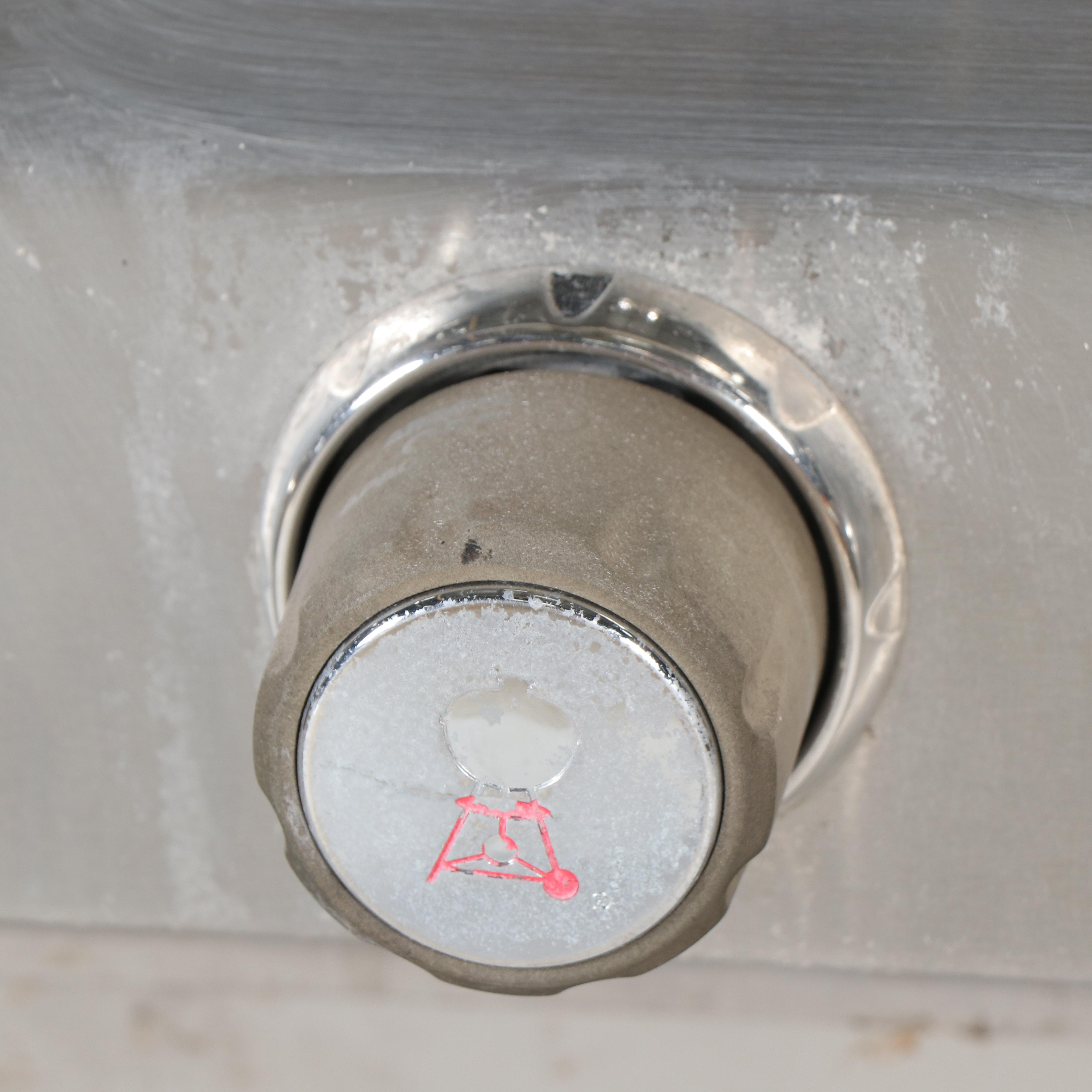 Weber Summit Gas Grill on Casters