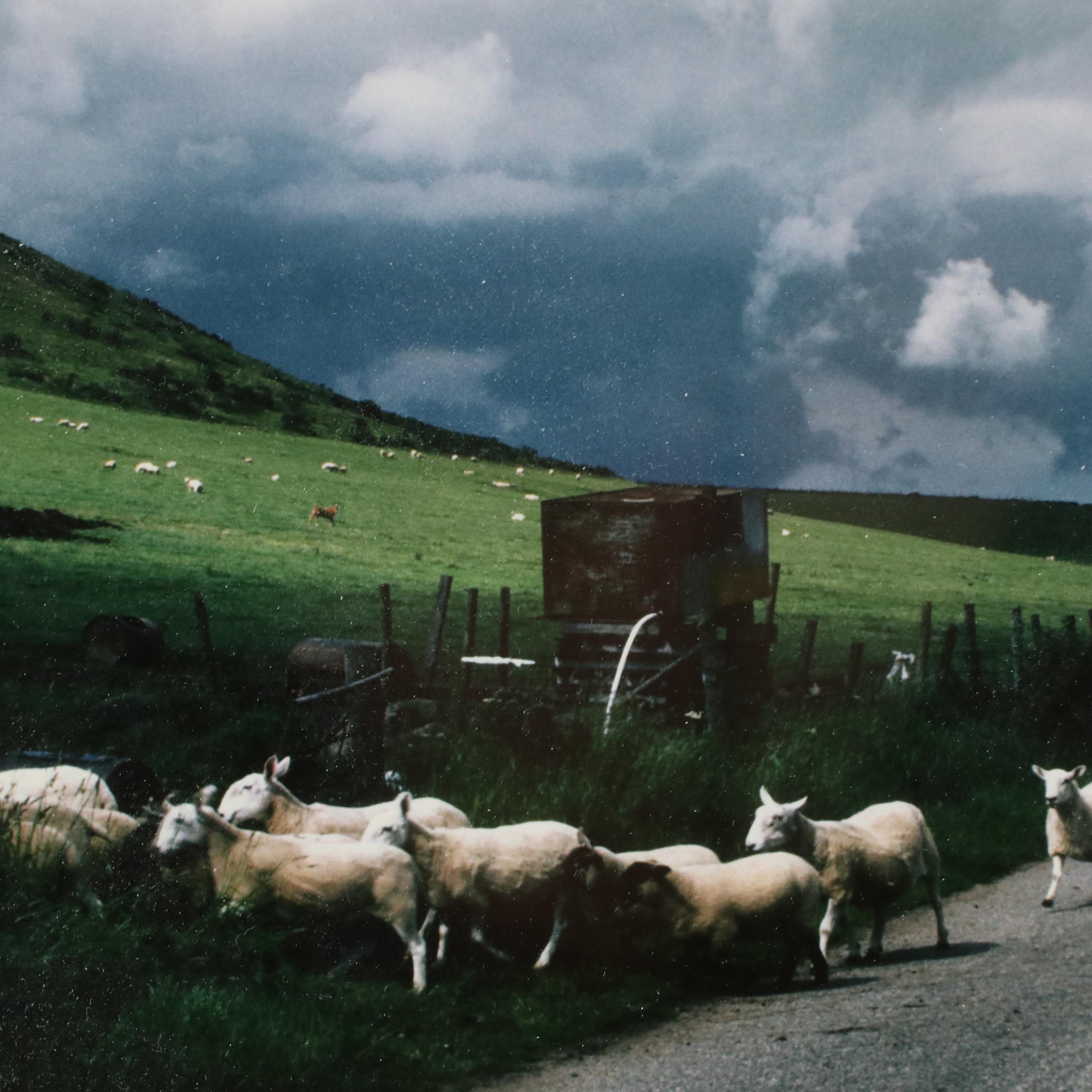 Michael C. Davis Color Photograph "Scotland"