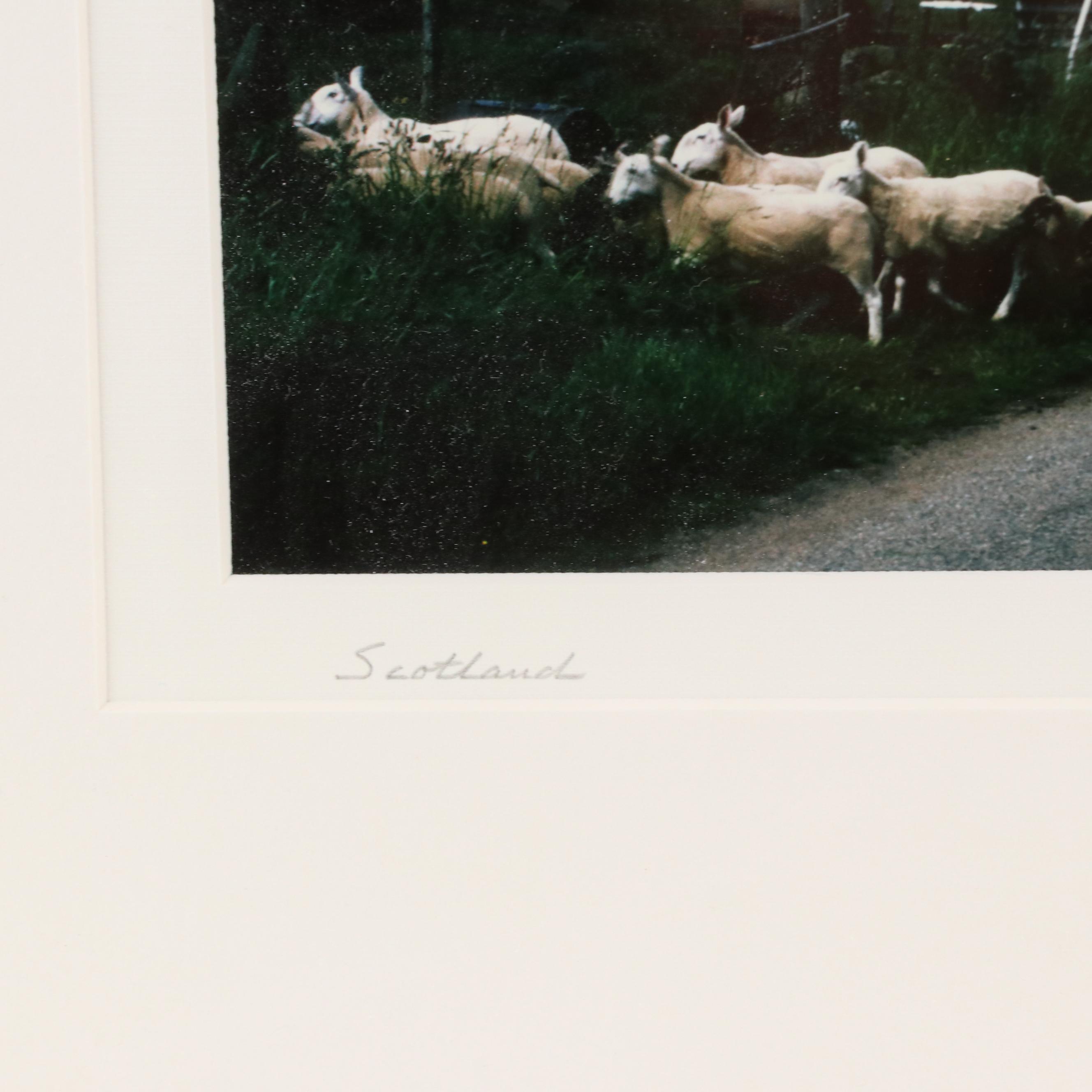 Michael C. Davis Color Photograph "Scotland"