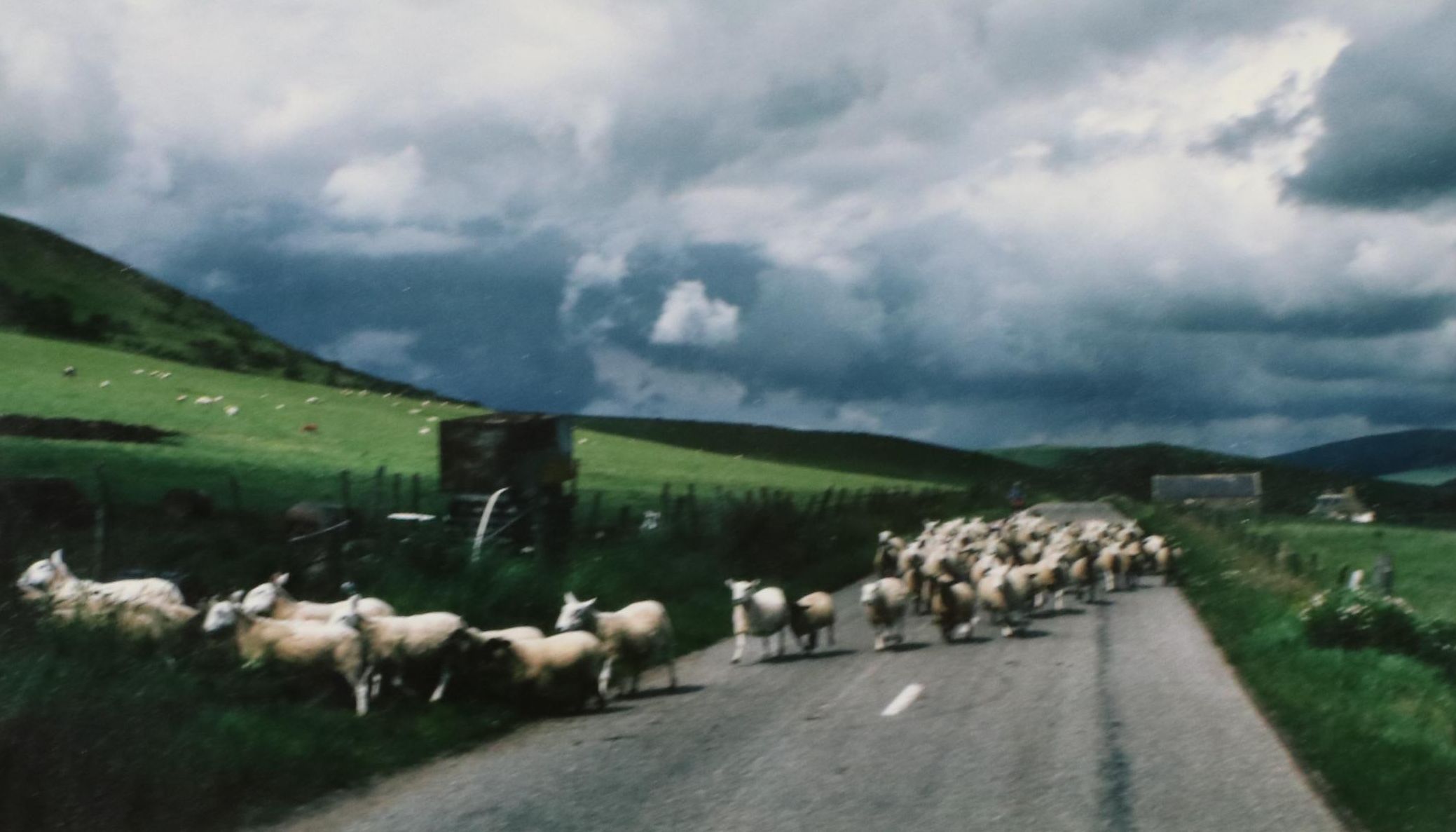 Michael C. Davis Color Photograph "Scotland"
