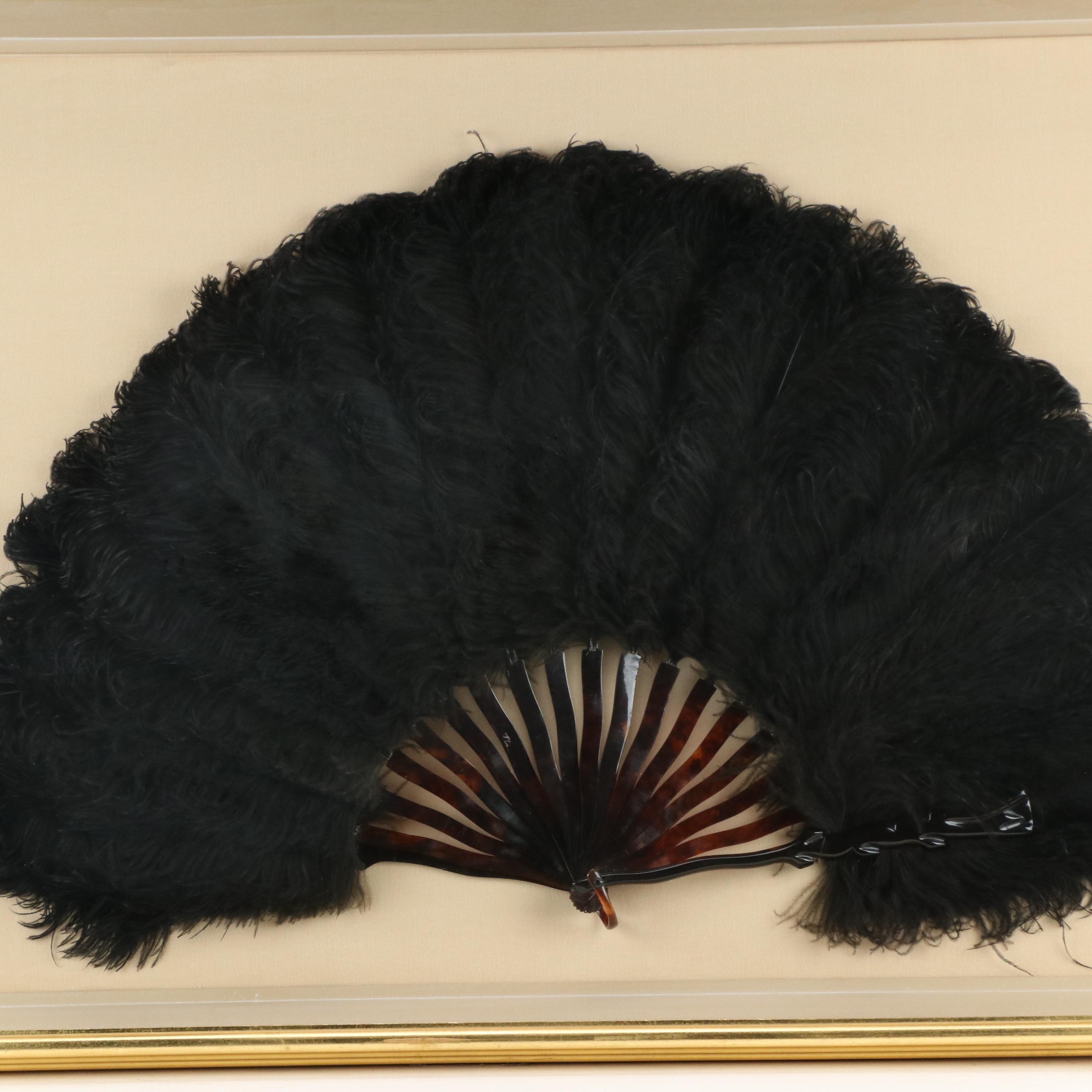 Ostrich Plume and Tortoise Shell Folding Fan in Frame