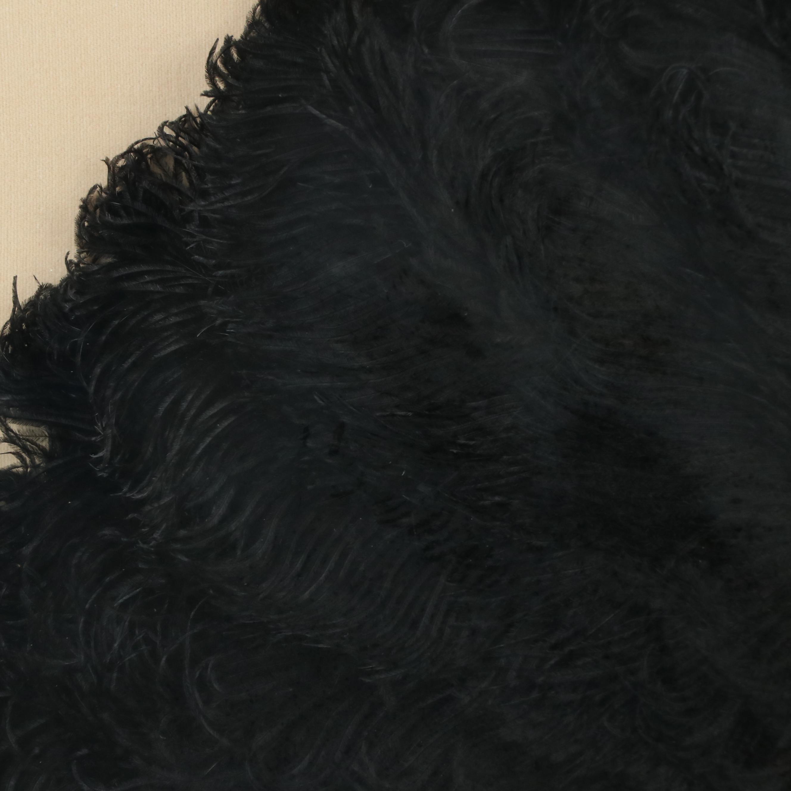 Ostrich Plume and Tortoise Shell Folding Fan in Frame