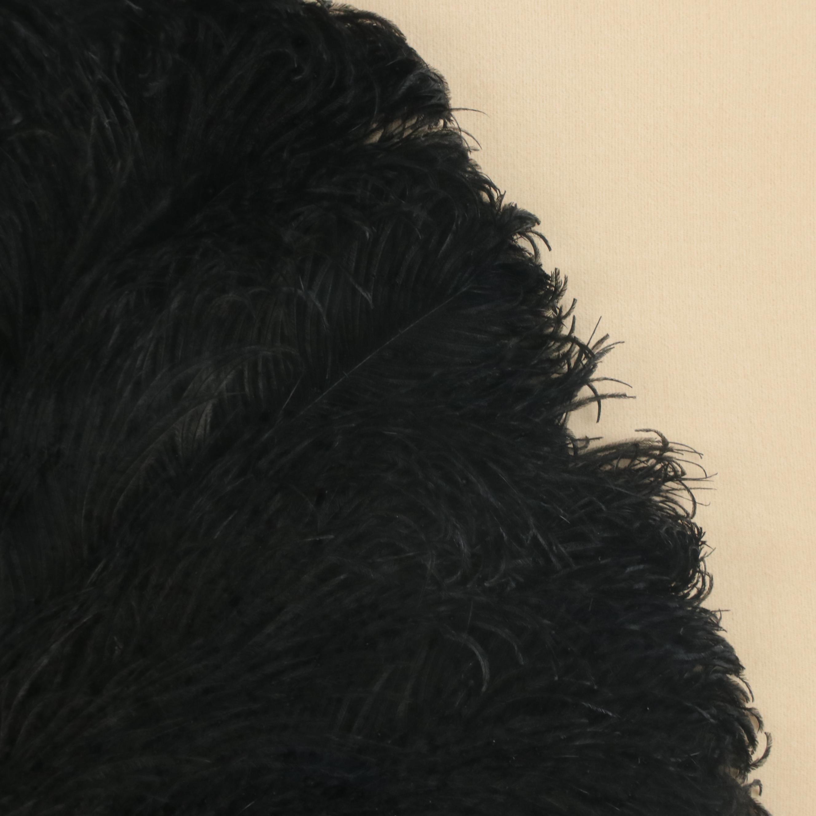 Ostrich Plume and Tortoise Shell Folding Fan in Frame