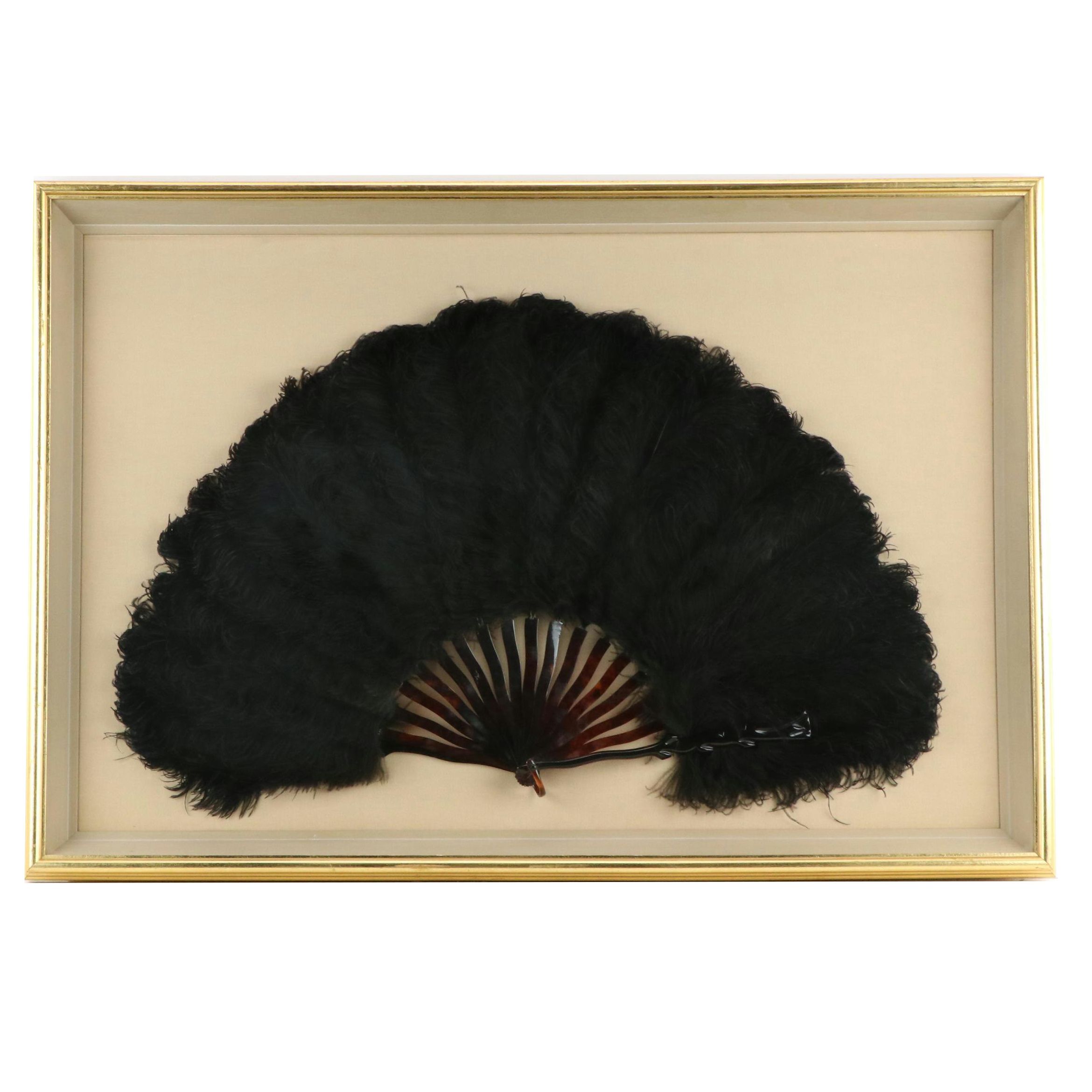 Ostrich Plume and Tortoise Shell Folding Fan in Frame