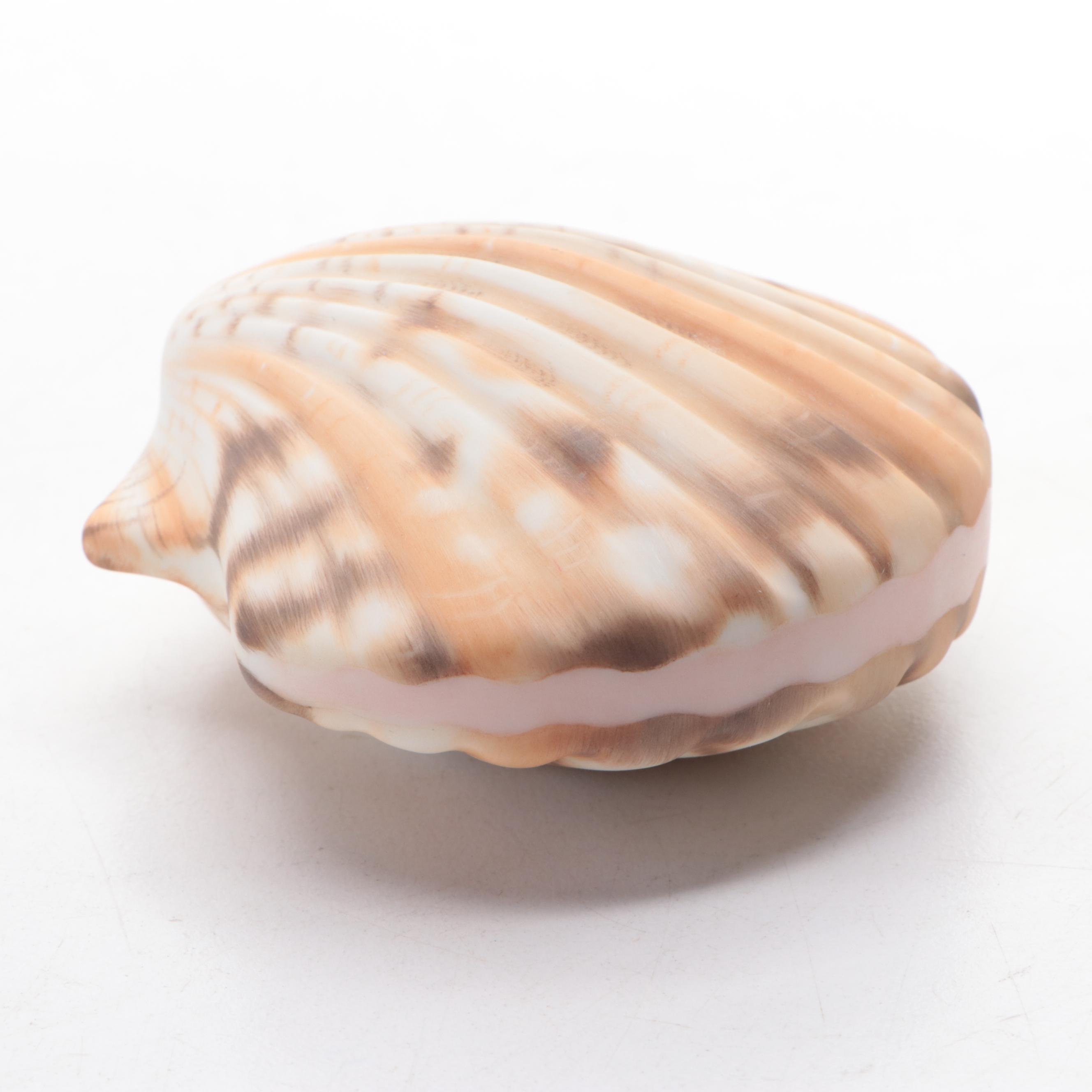 Herend Natural "Scallop Shell" Porcelain Figurine