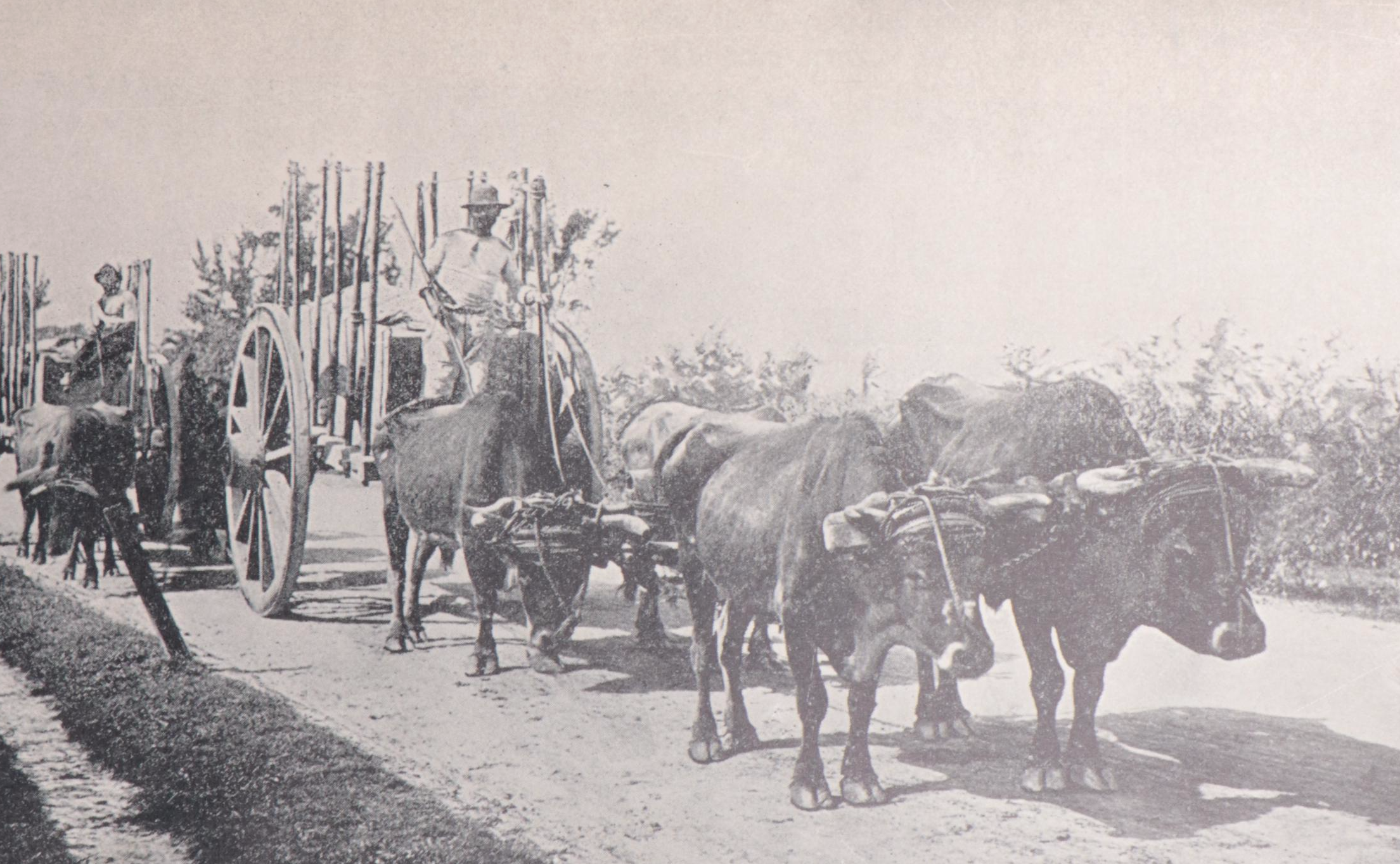 "Cuba's Great Struggle for Freedom" by Gonzalo de Quesada and More