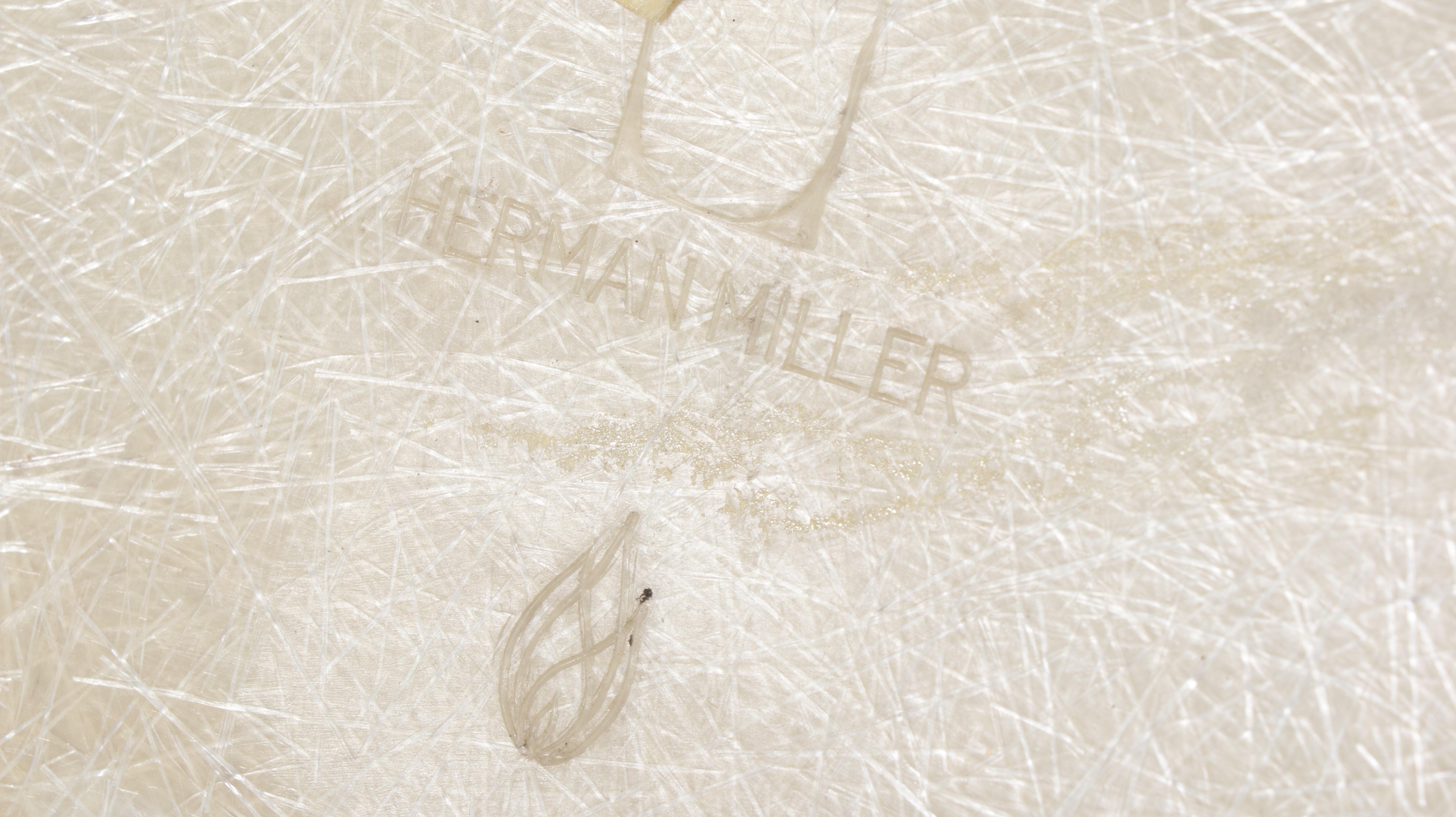 Herman Miller Eames Molded Fiberglass Shell Chairs, Mid-20th Century