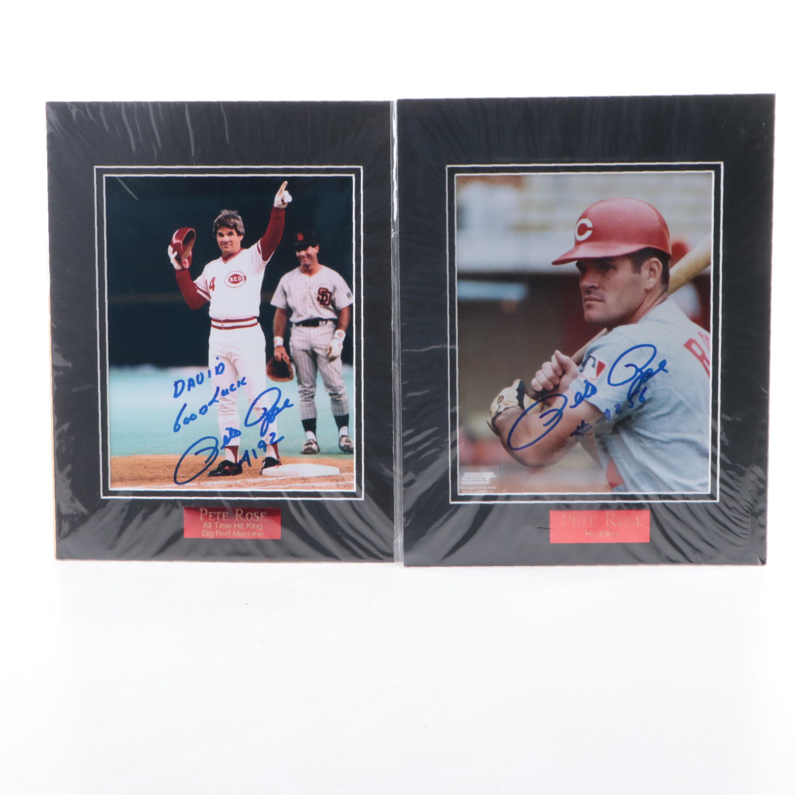 Pete Rose Signed Cincinnati Reds Matted Prints