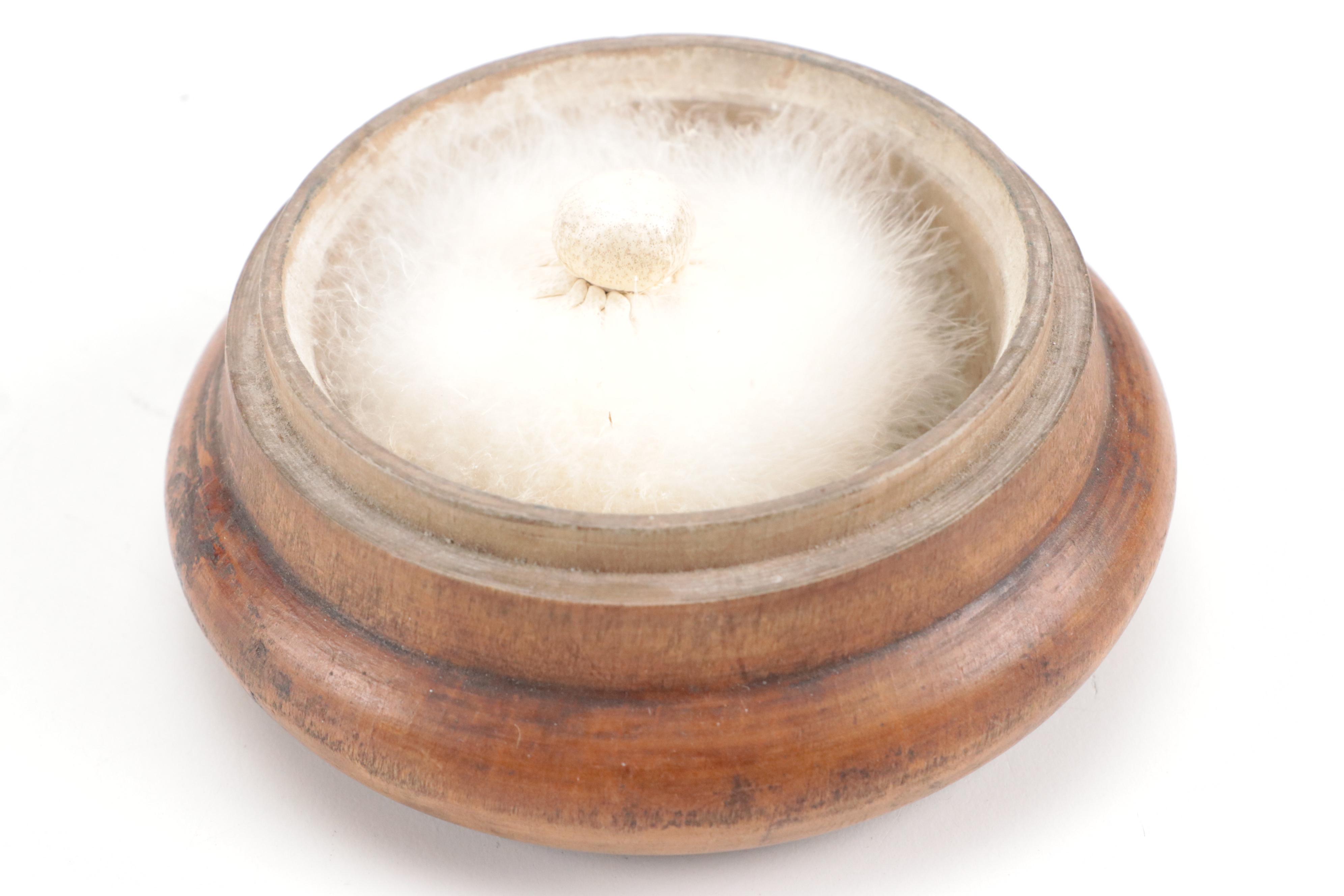 Floral Motif Wood Box with Finished Wood Powder Box and More