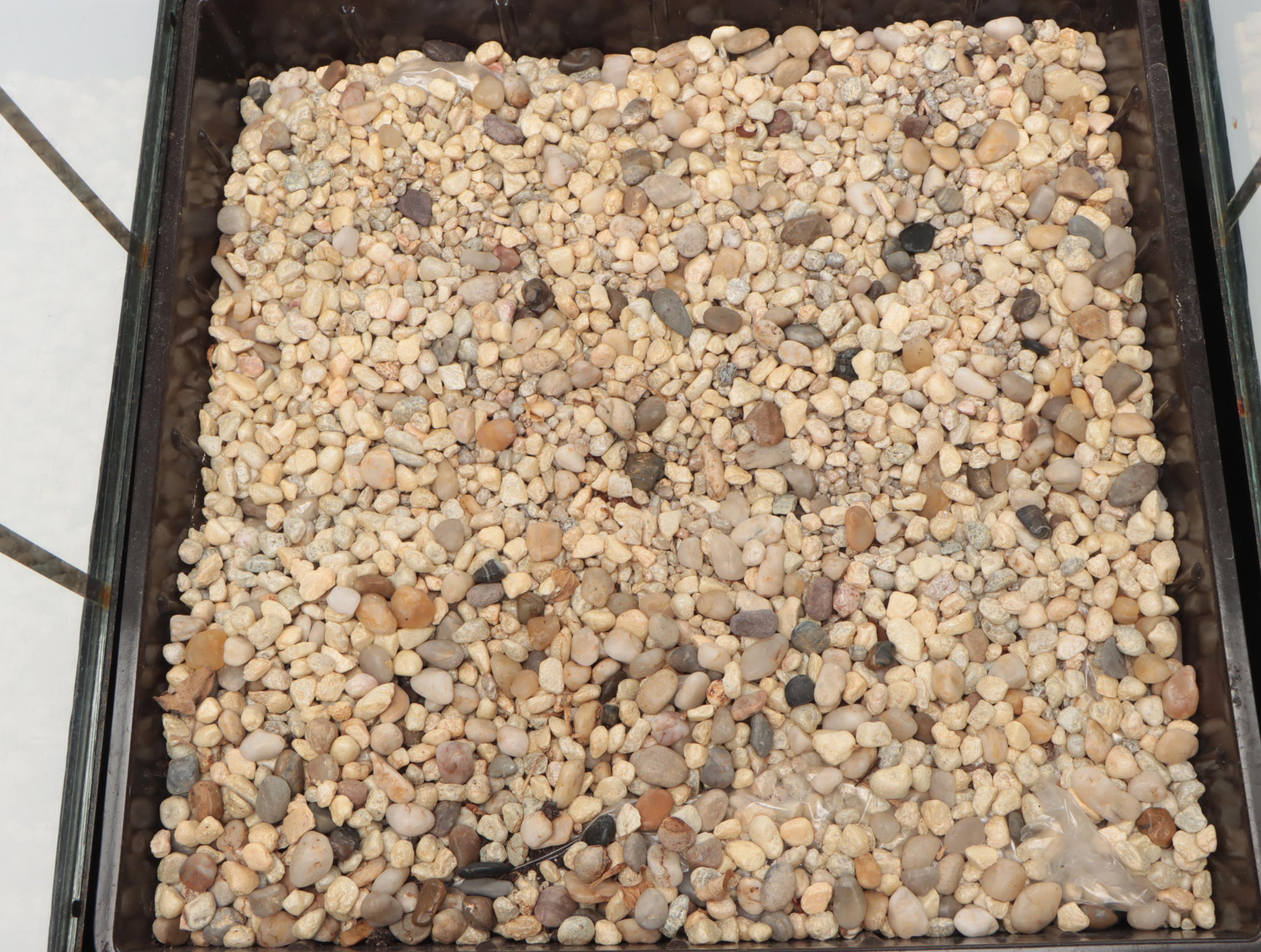 Victorian Style Metal Tabletop Terrarium