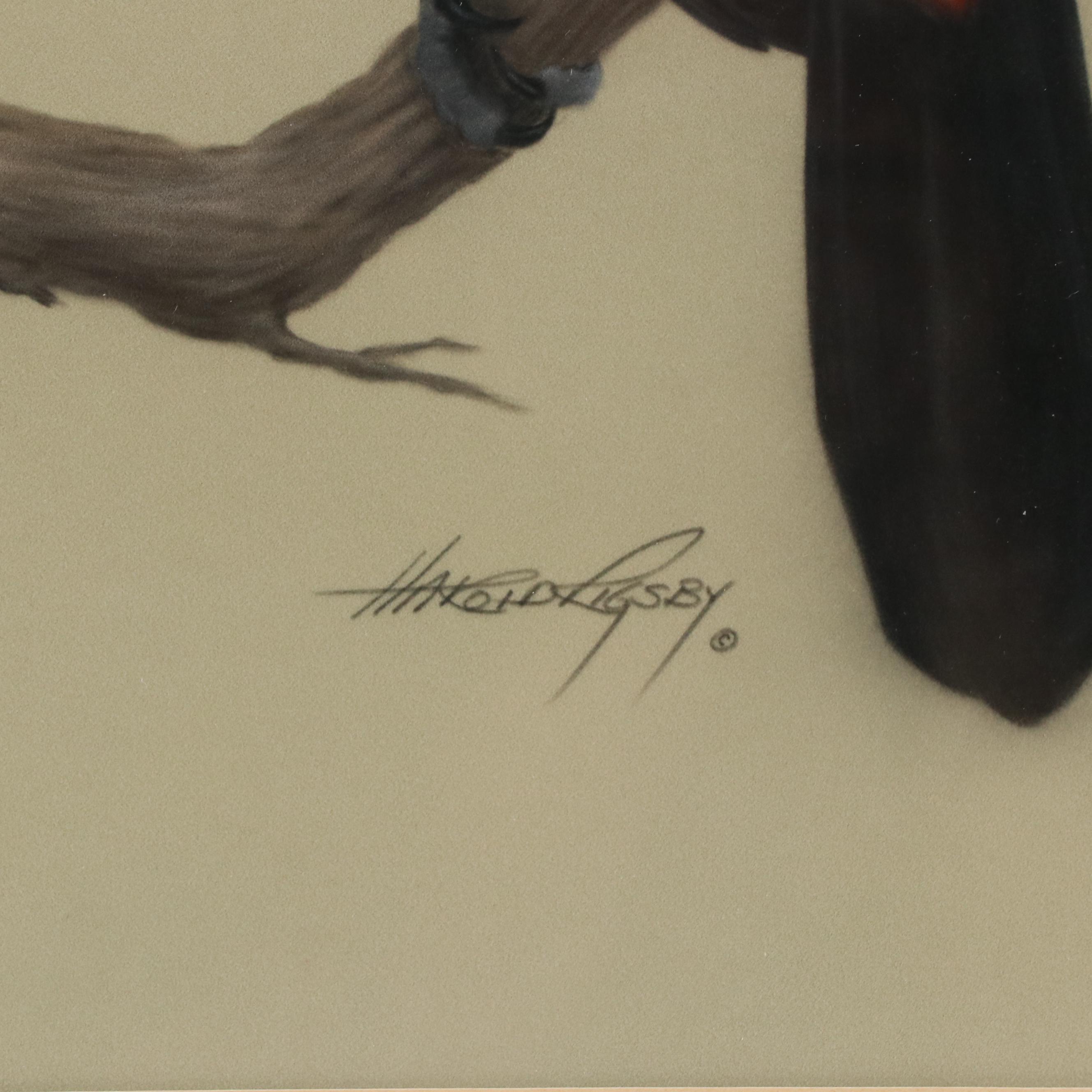 Harold Rigsby Chalk Pastel Drawing of Toucan