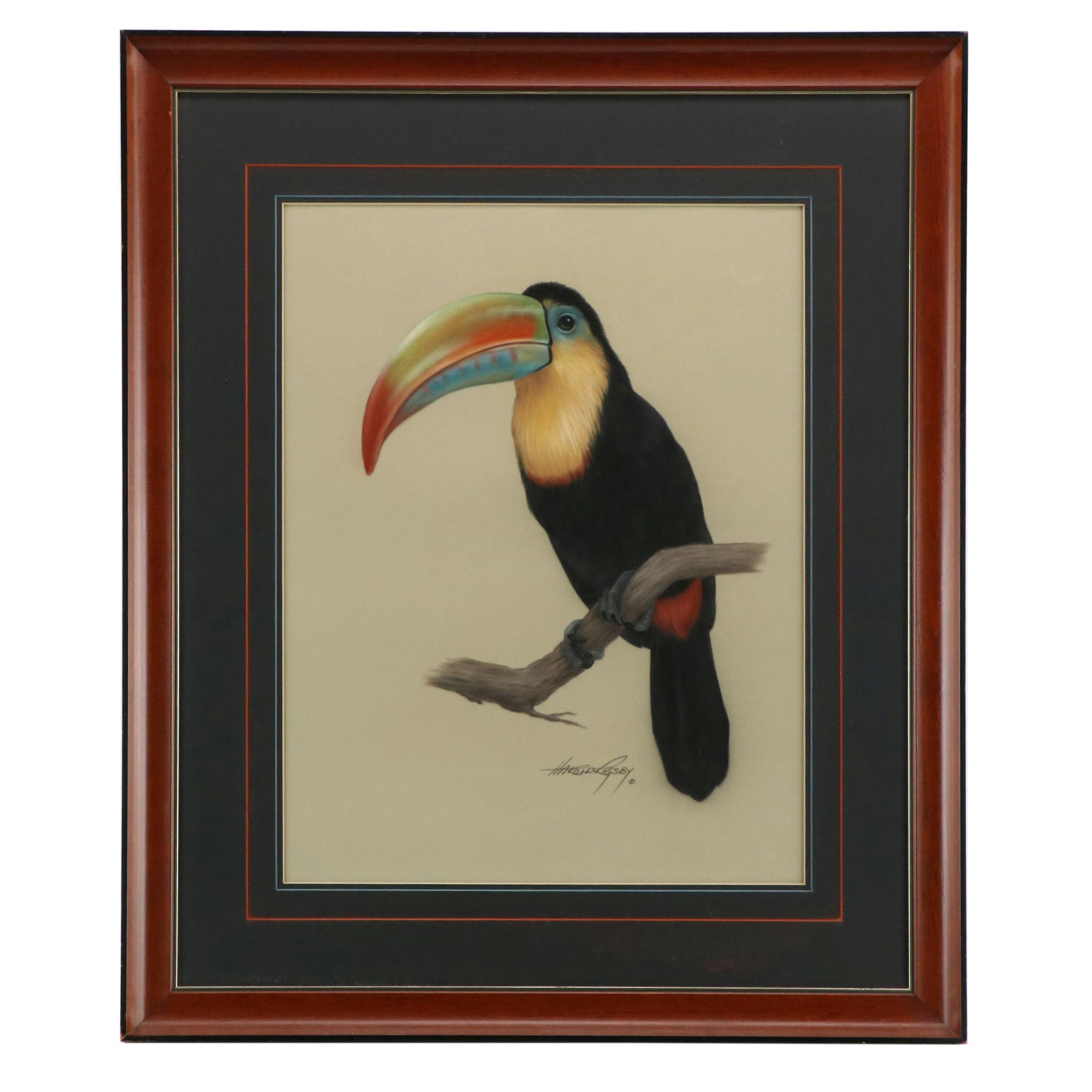 Harold Rigsby Chalk Pastel Drawing of Toucan