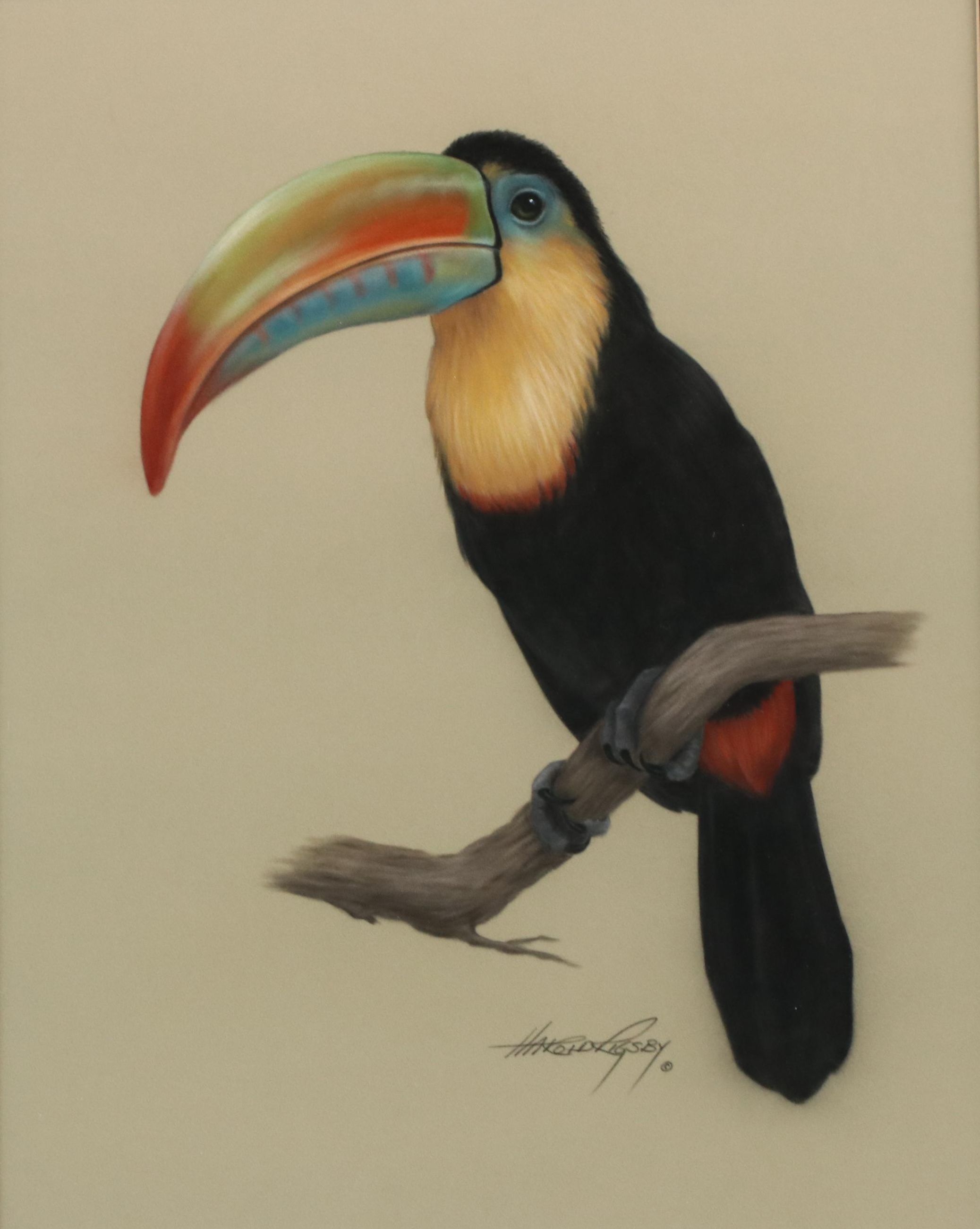 Harold Rigsby Chalk Pastel Drawing of Toucan