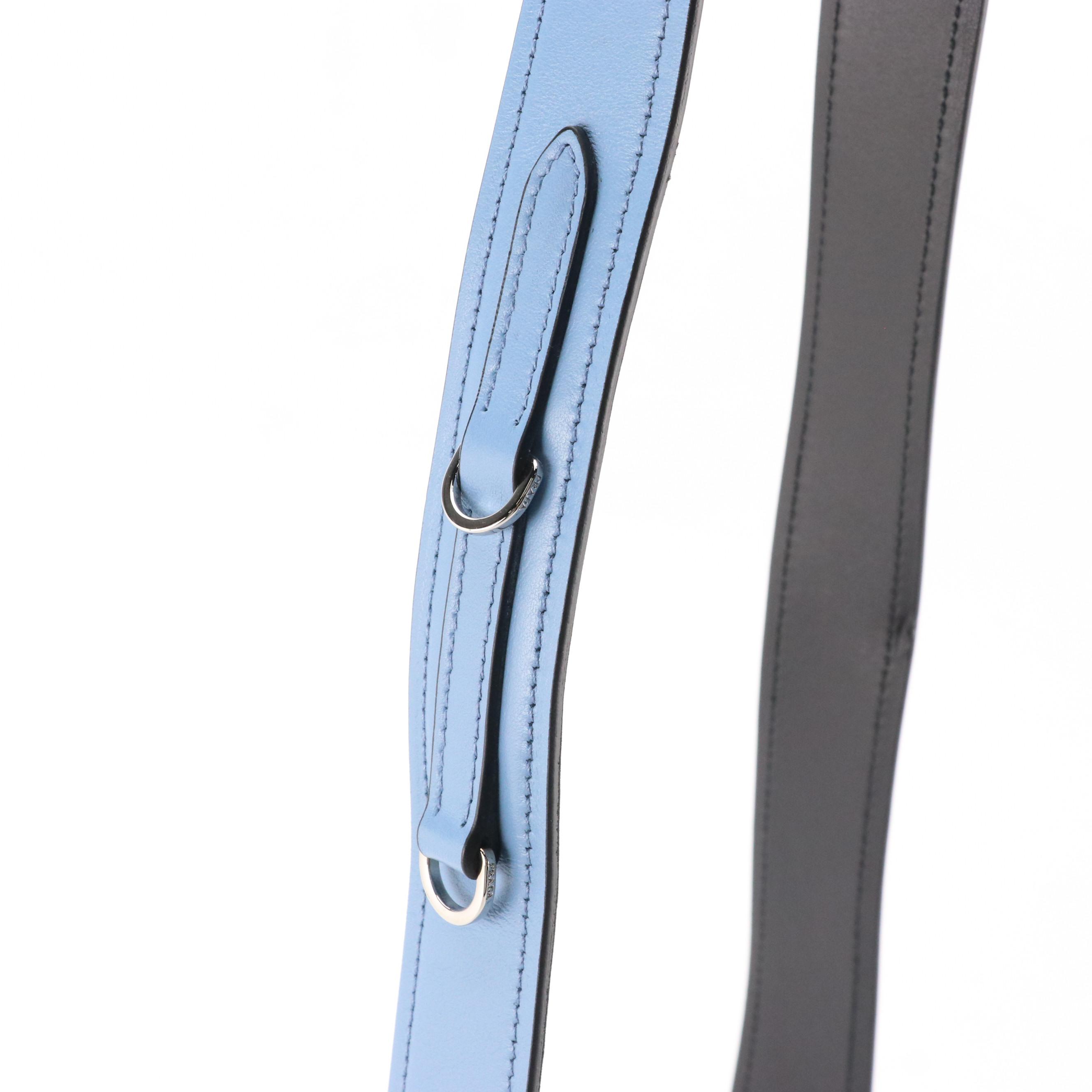 Prada Ribbon Shoulder Bag in Astrale City Calfskin and Rosa Plexiglass