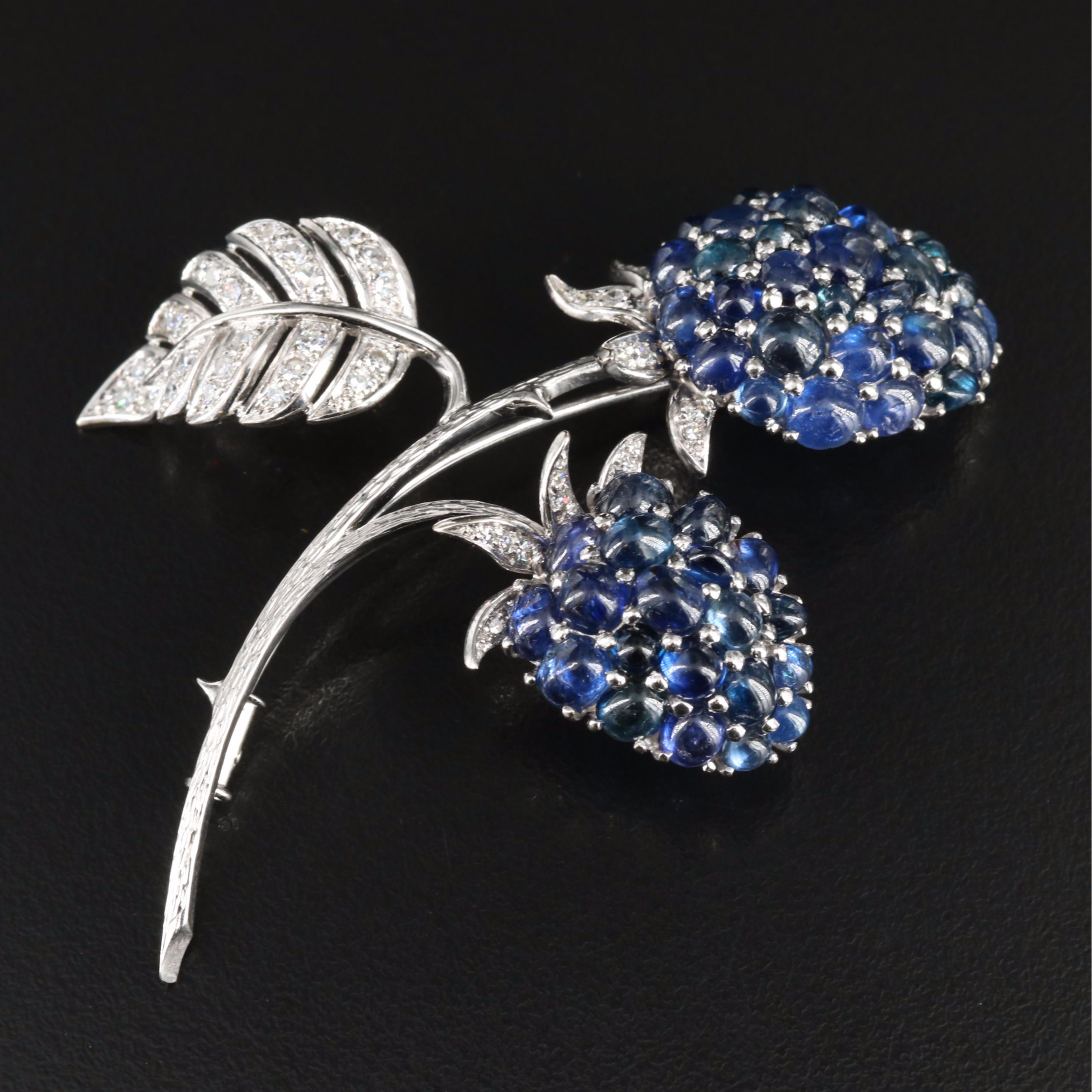 Koch 18K Sapphire and Diamond Spray Brooch