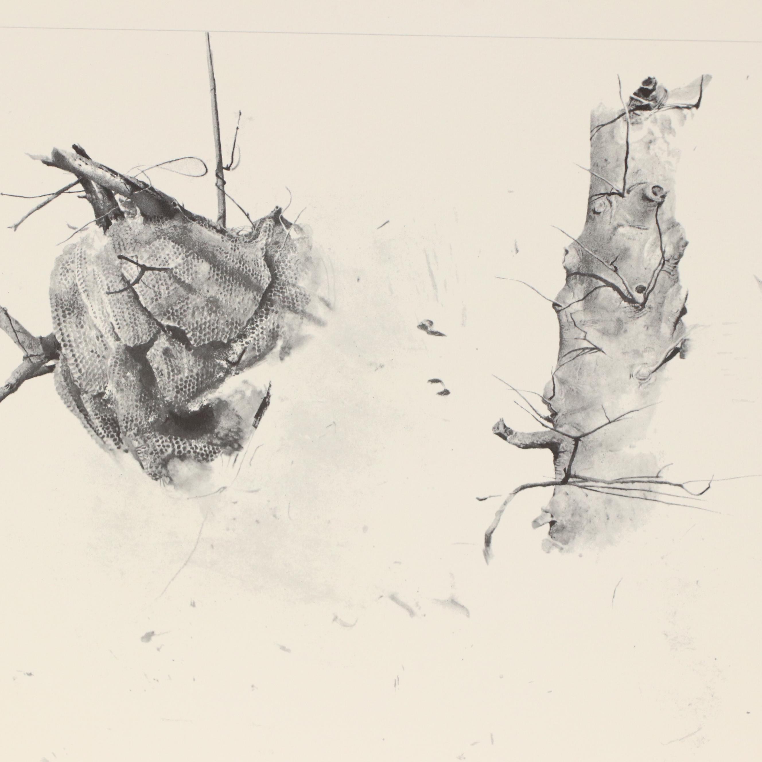 Edward Hopper Reproduction Folio "A Silent World: Watercolors and Drawings"