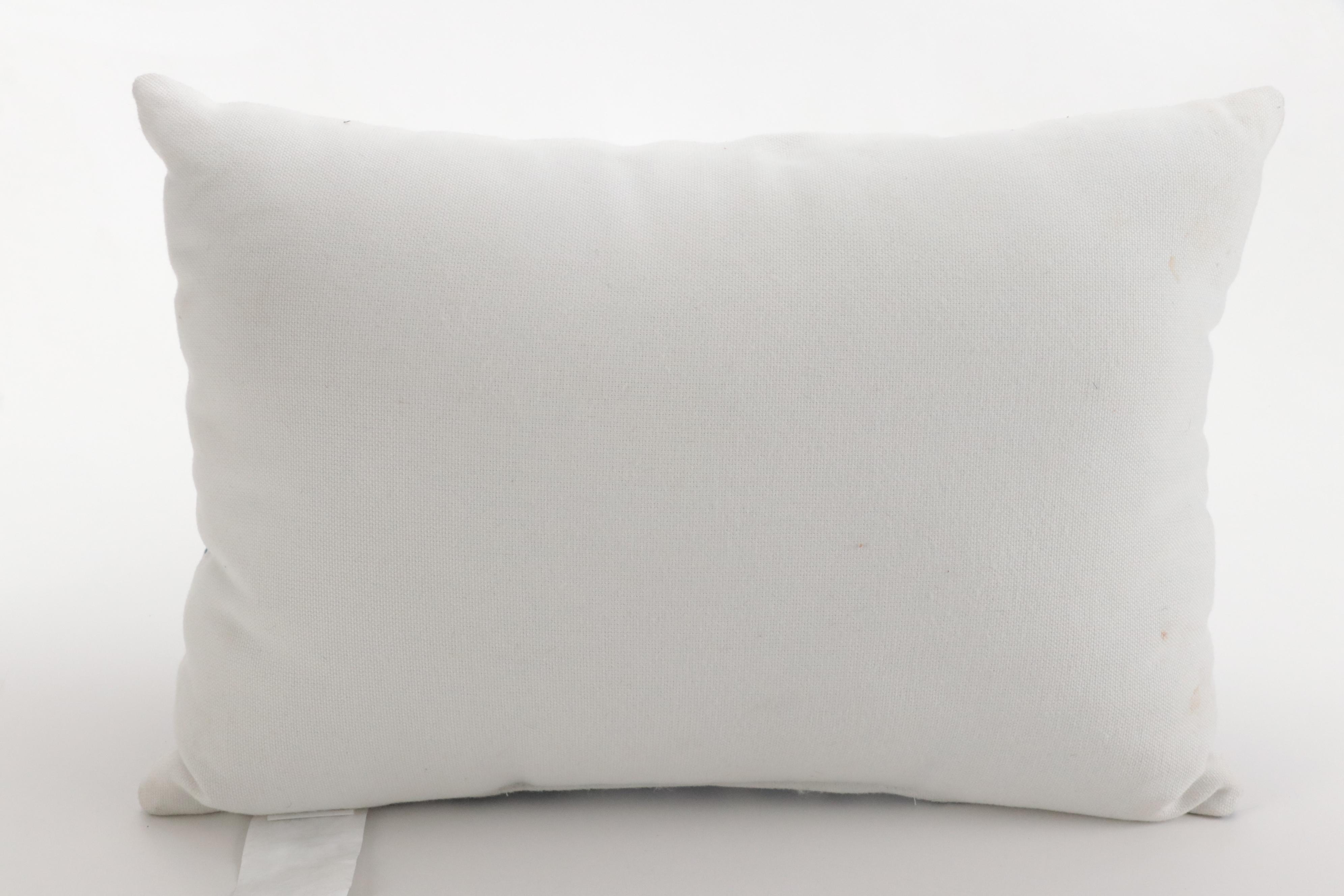 Devi Designs Pillow with Lush Décor Queen Ruffle Skirt Bedspread and More