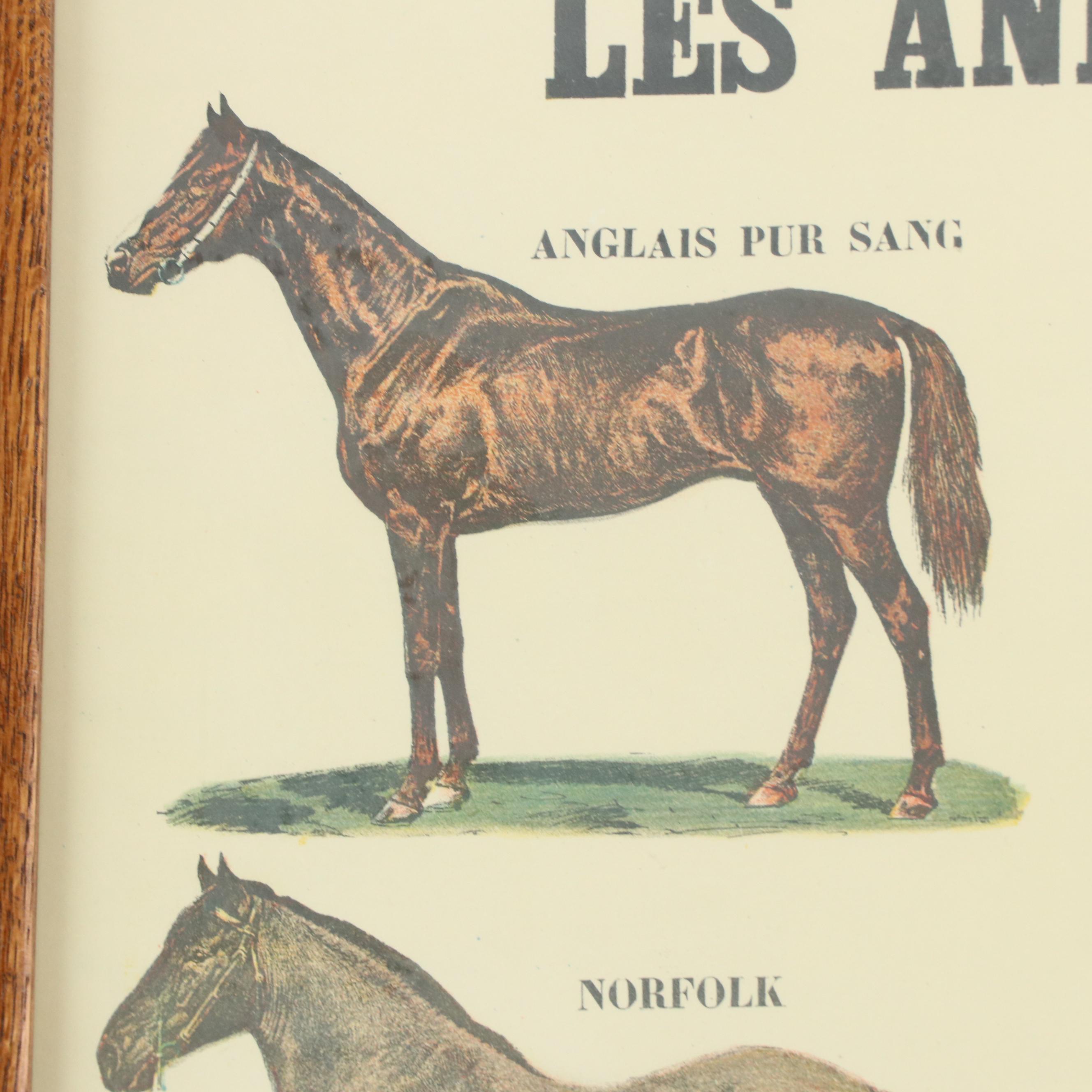Emile Deyrolle "Les Animaux De La Ferme - Les Chevaux" Lithograph Poster, 1945