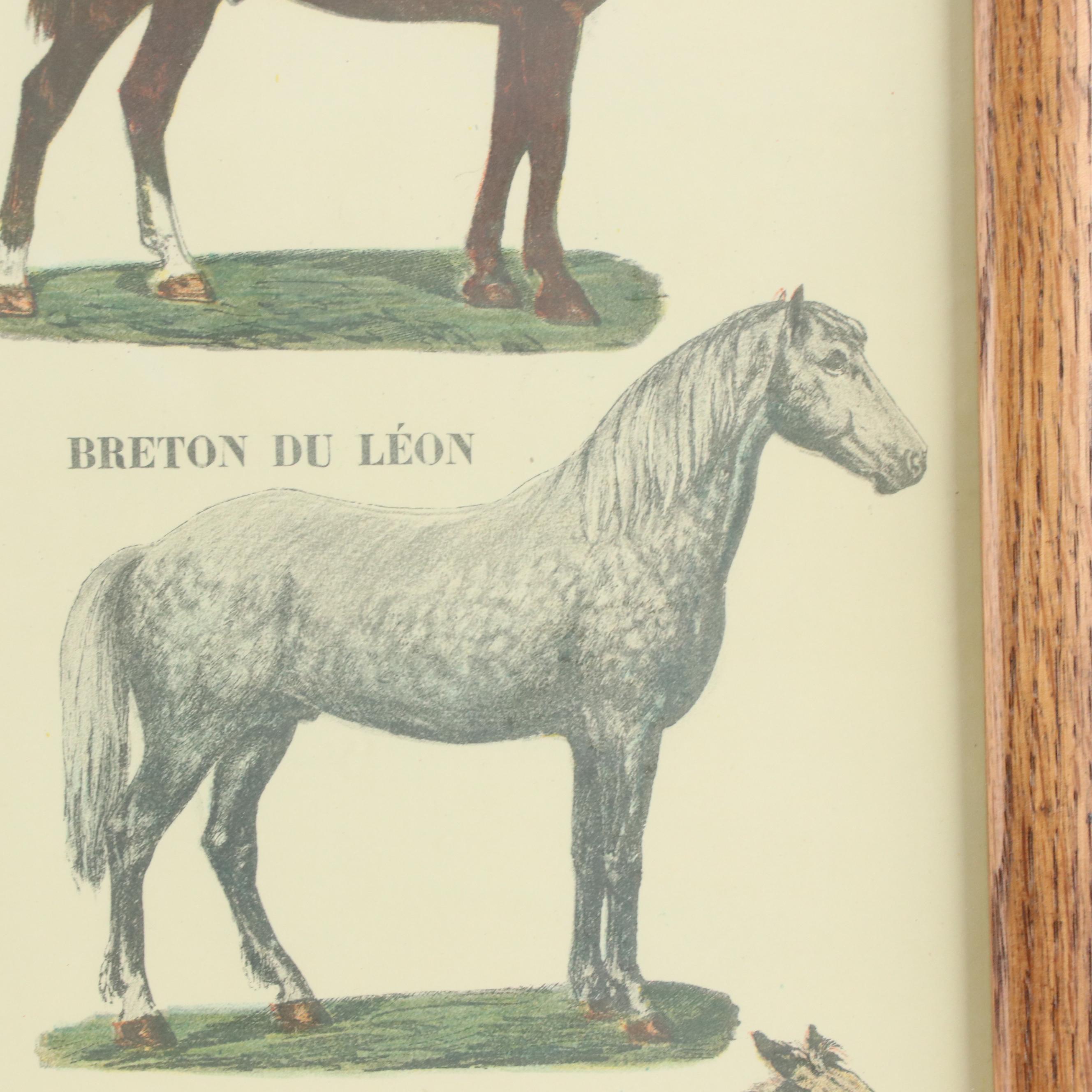 Emile Deyrolle "Les Animaux De La Ferme - Les Chevaux" Lithograph Poster, 1945