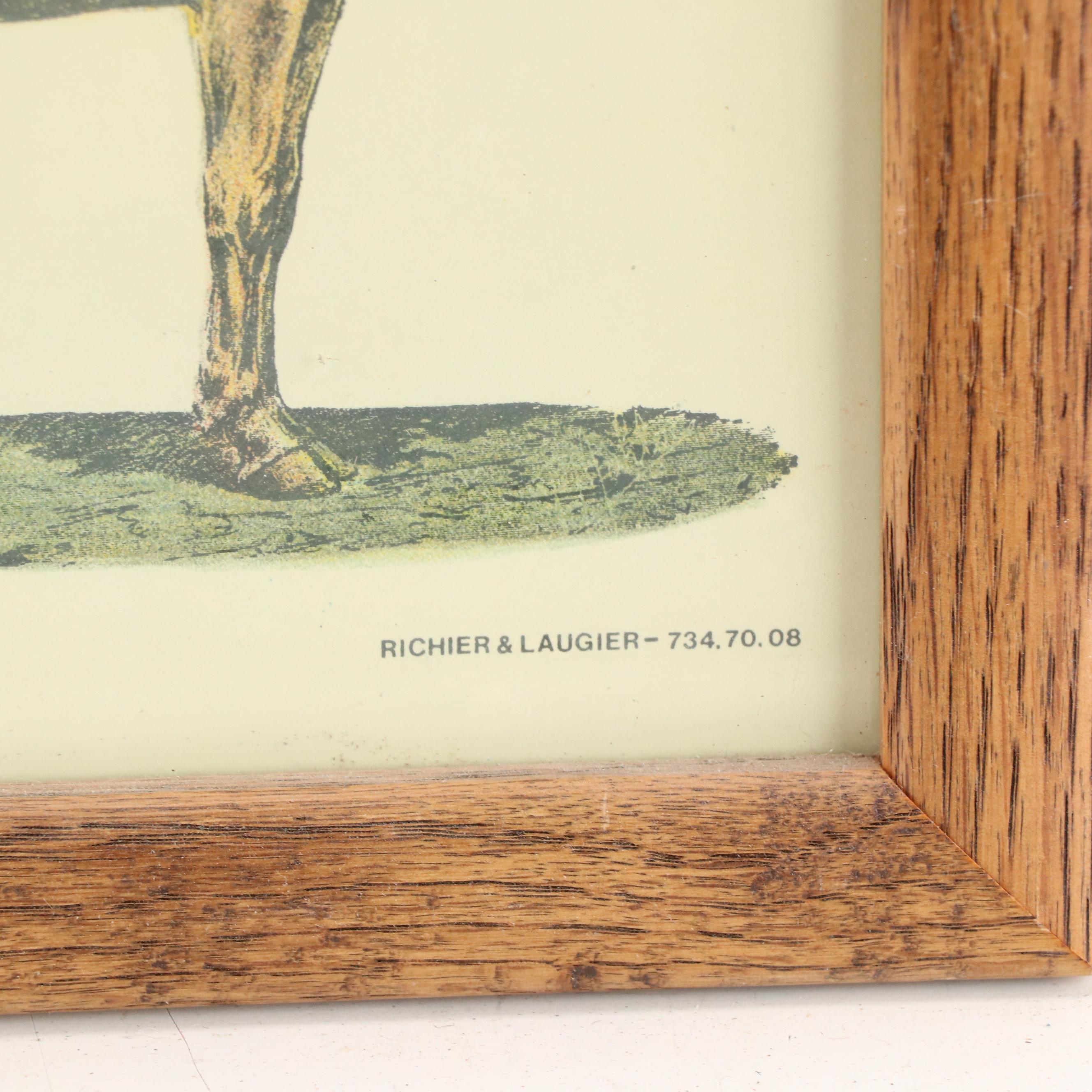 Emile Deyrolle "Les Animaux De La Ferme - Les Chevaux" Lithograph Poster, 1945