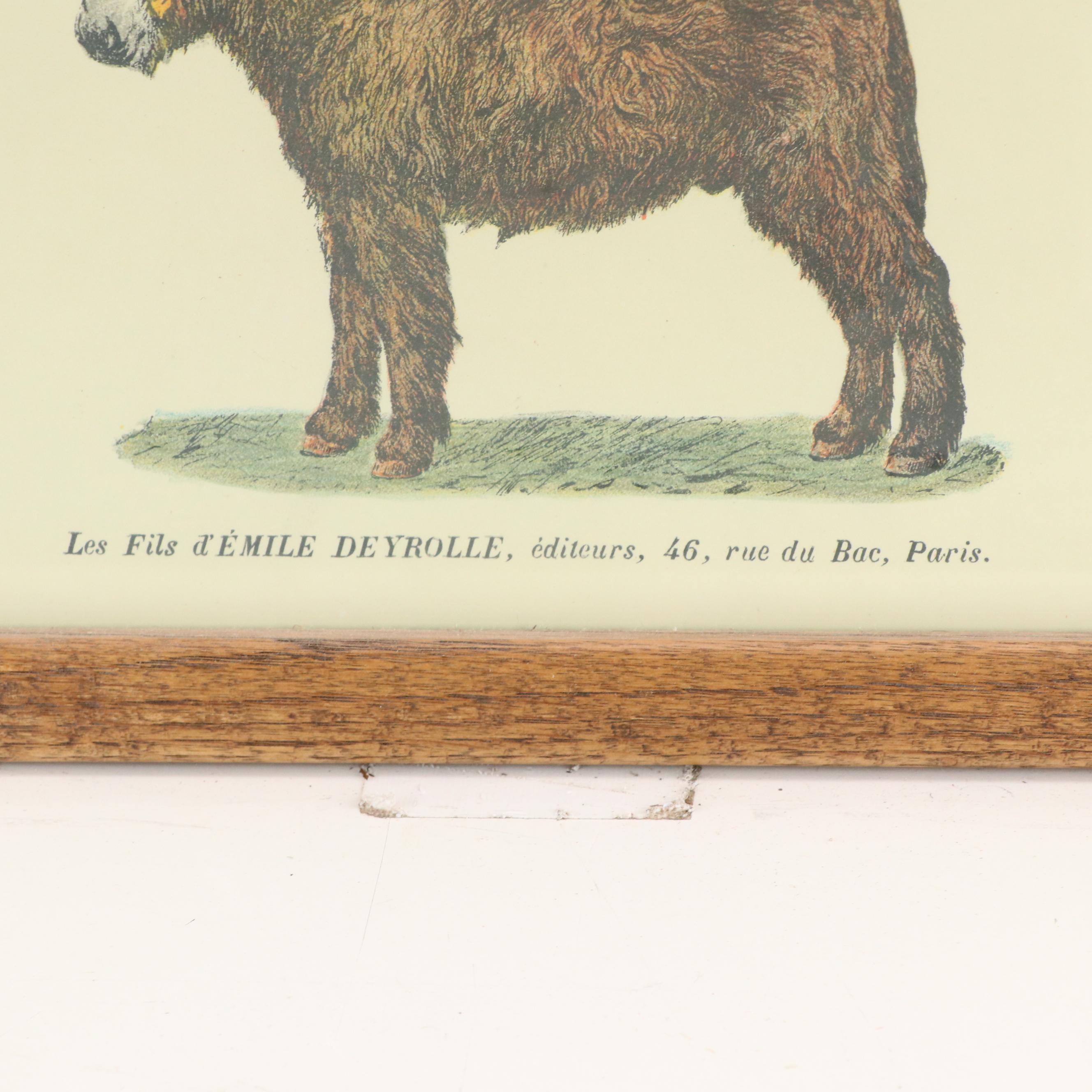 Emile Deyrolle "Les Animaux De La Ferme - Les Chevaux" Lithograph Poster, 1945