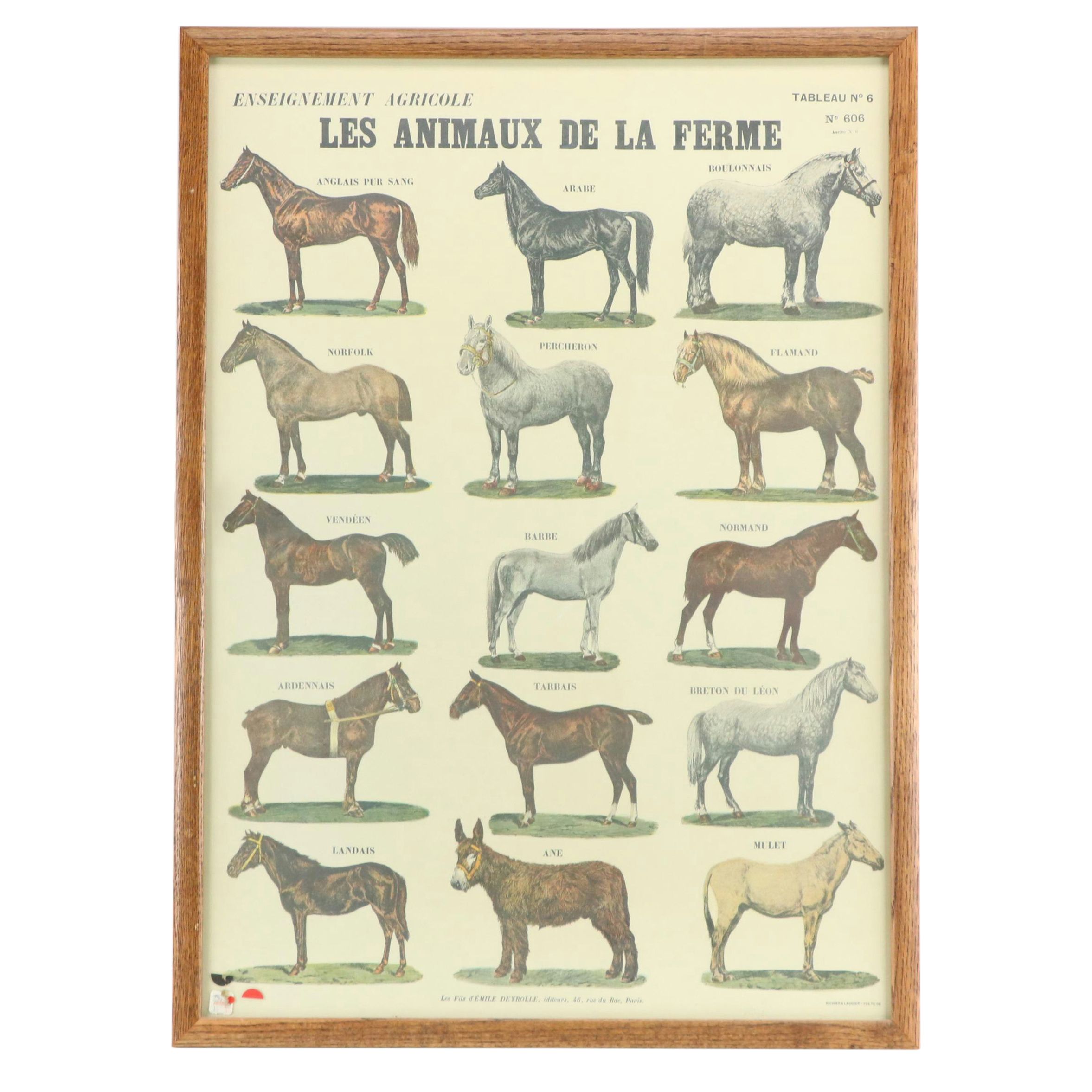Emile Deyrolle "Les Animaux De La Ferme - Les Chevaux" Lithograph Poster, 1945