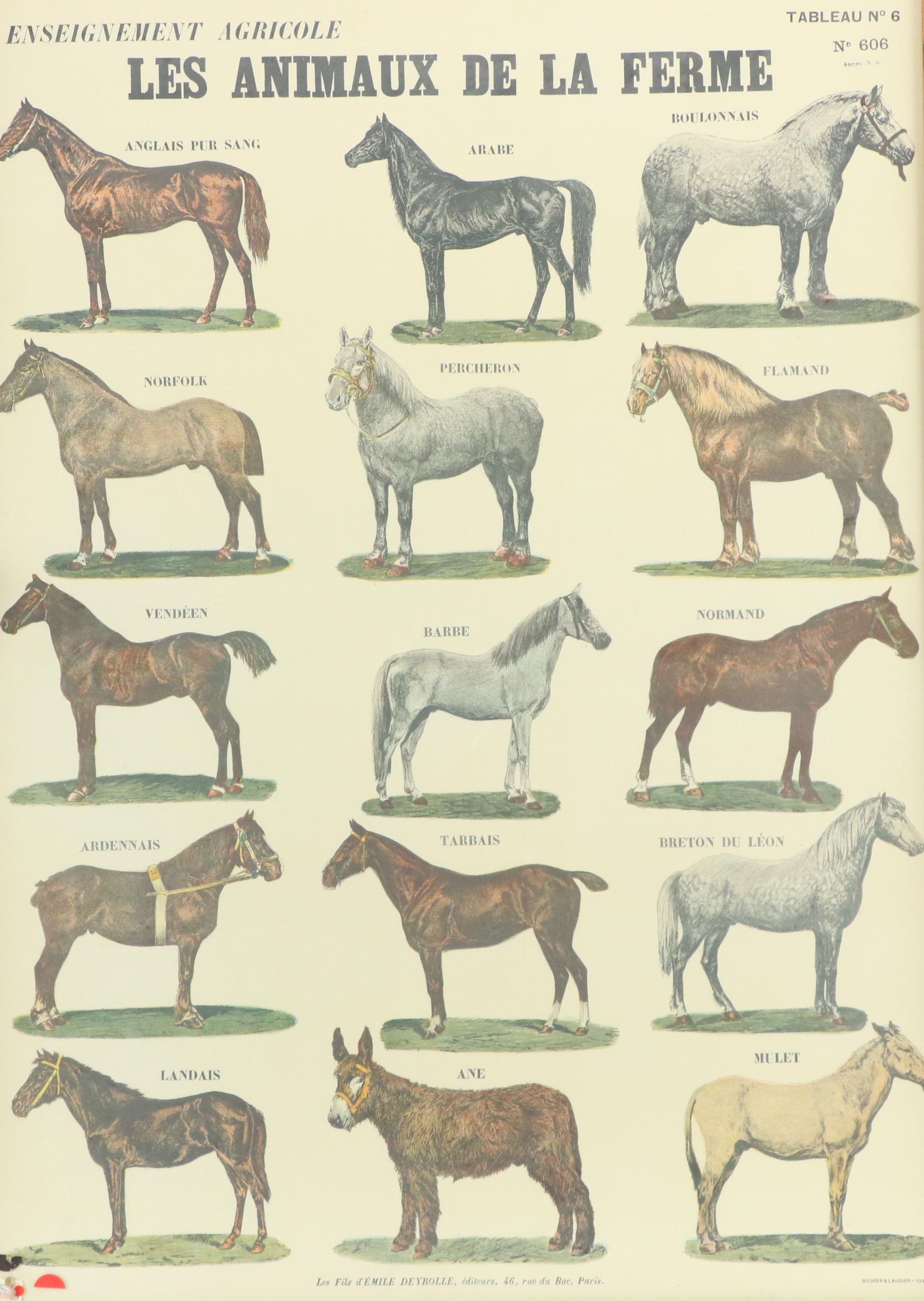 Emile Deyrolle "Les Animaux De La Ferme - Les Chevaux" Lithograph Poster, 1945