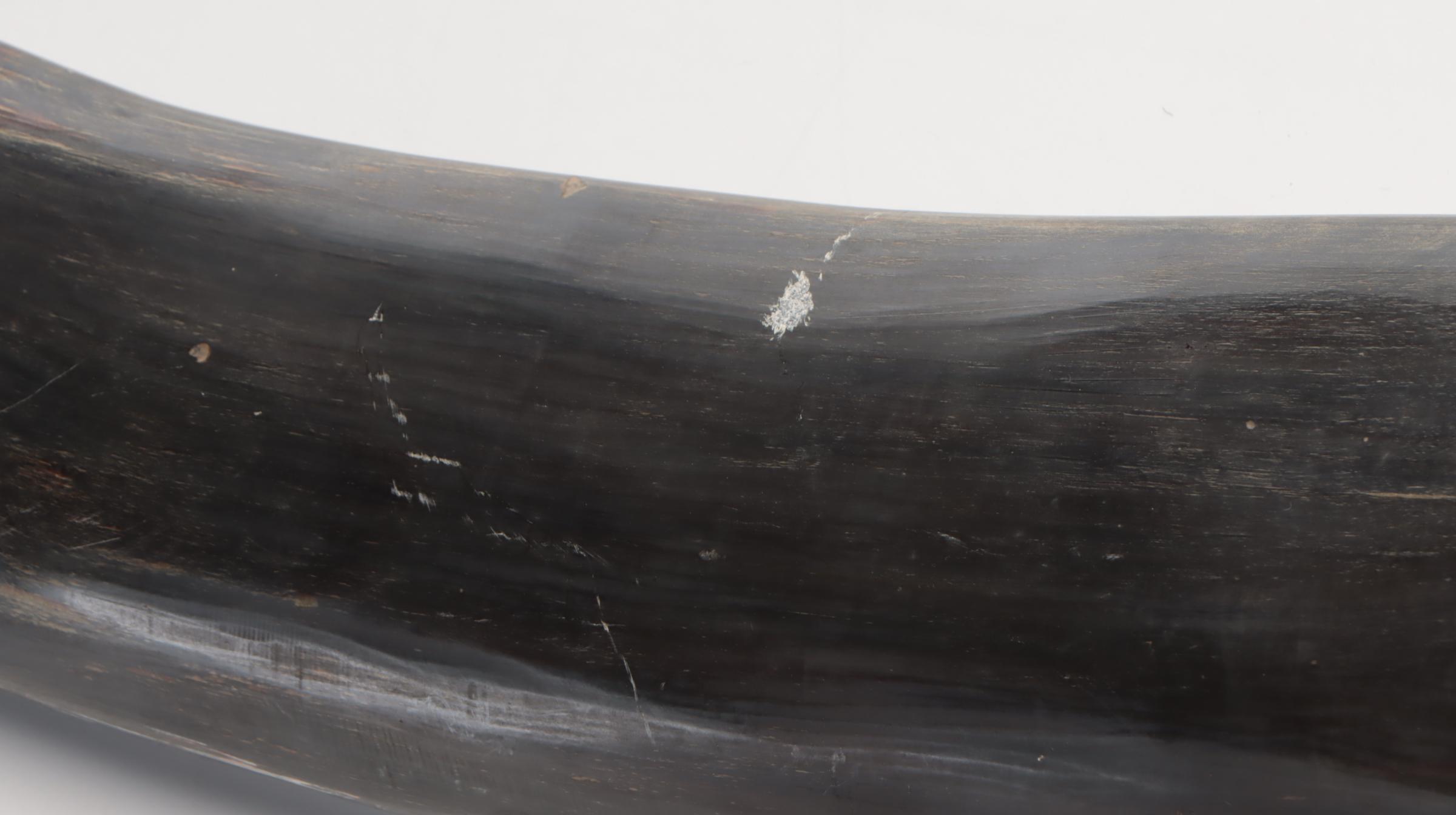 Carved Water Buffalo Horn on Wooden Mount from The Philippines, Late 20th C.