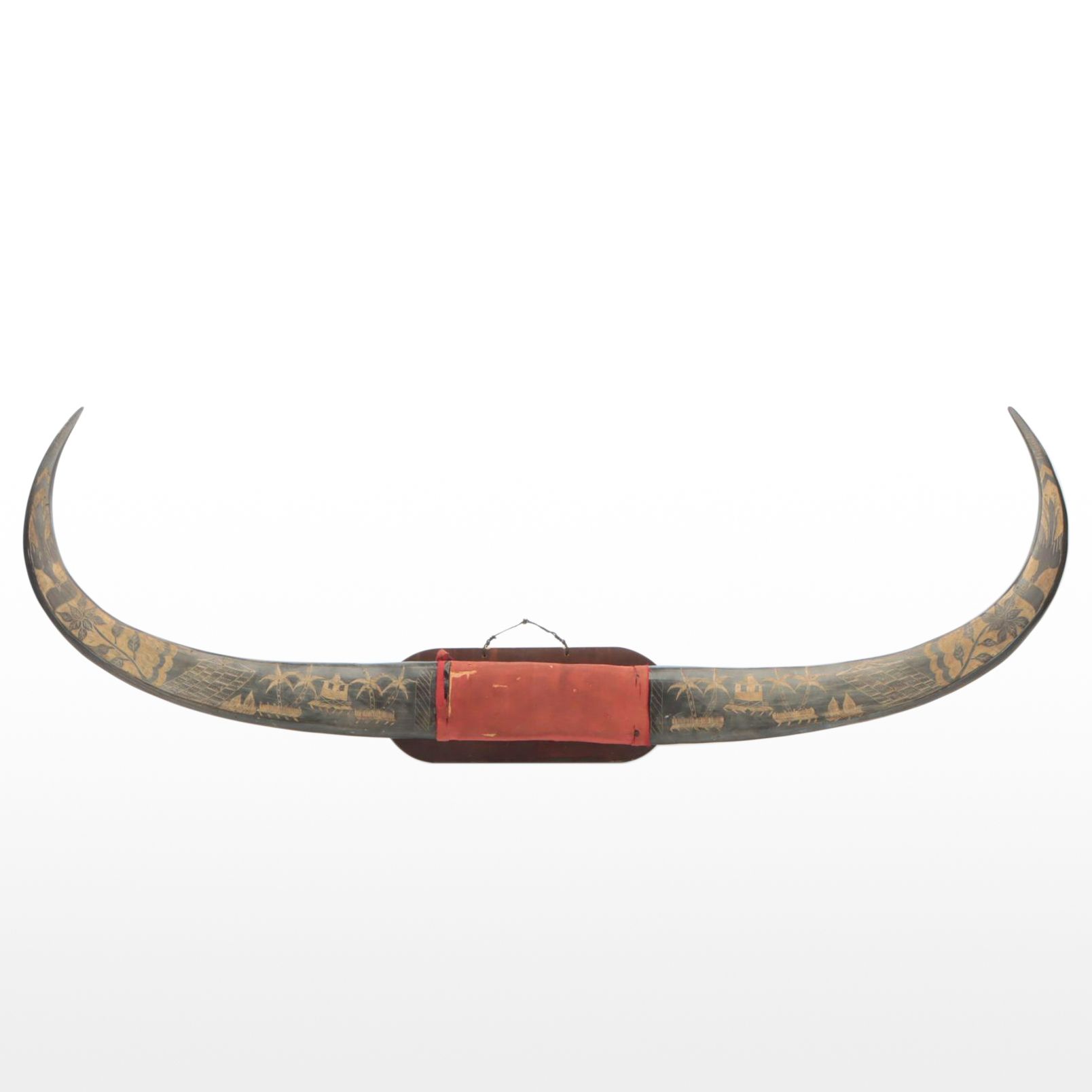 Carved Water Buffalo Horn on Wooden Mount from The Philippines, Late 20th C.