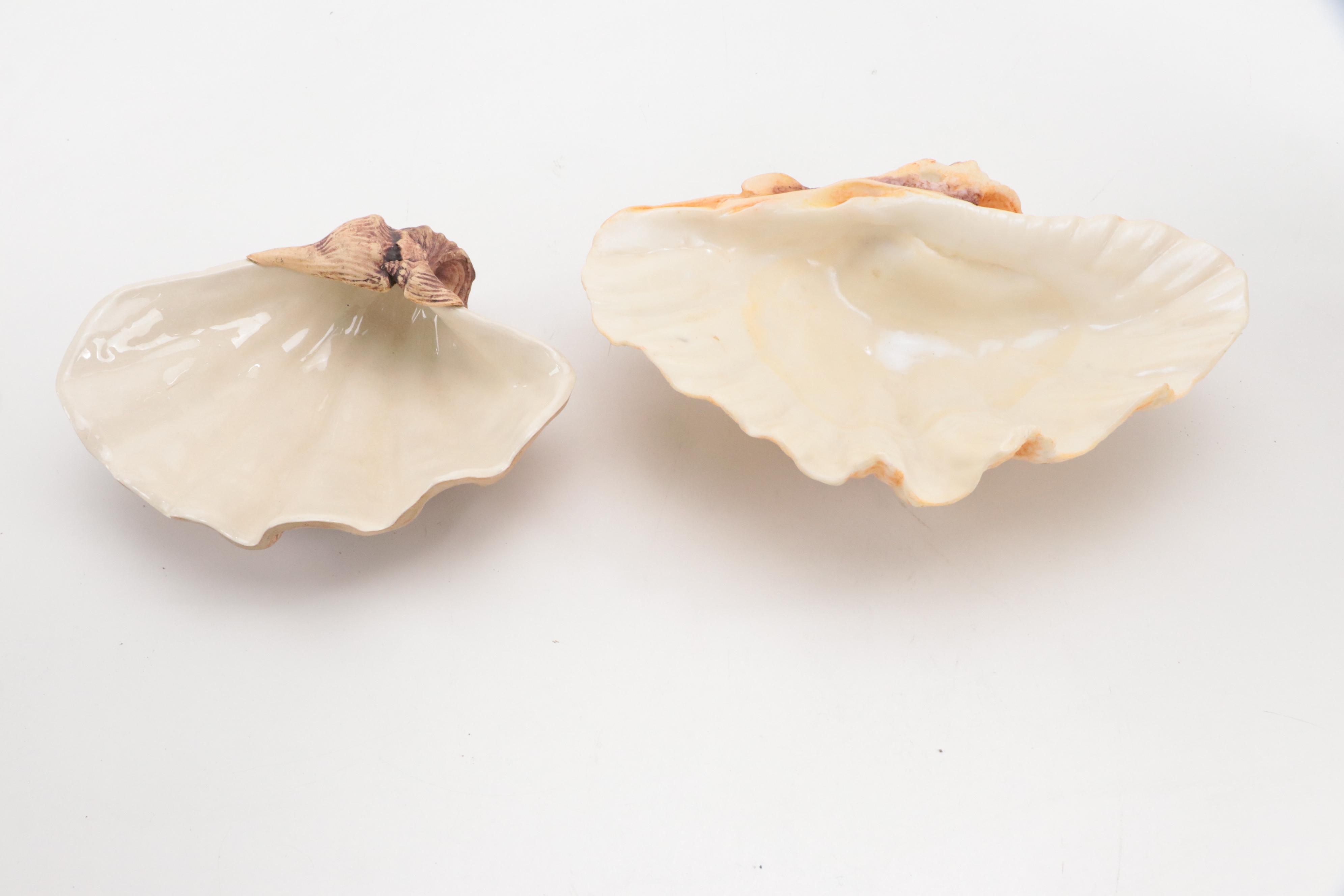 South African Art Pottery Seastar Wall Hangings with Clam Shell Décor