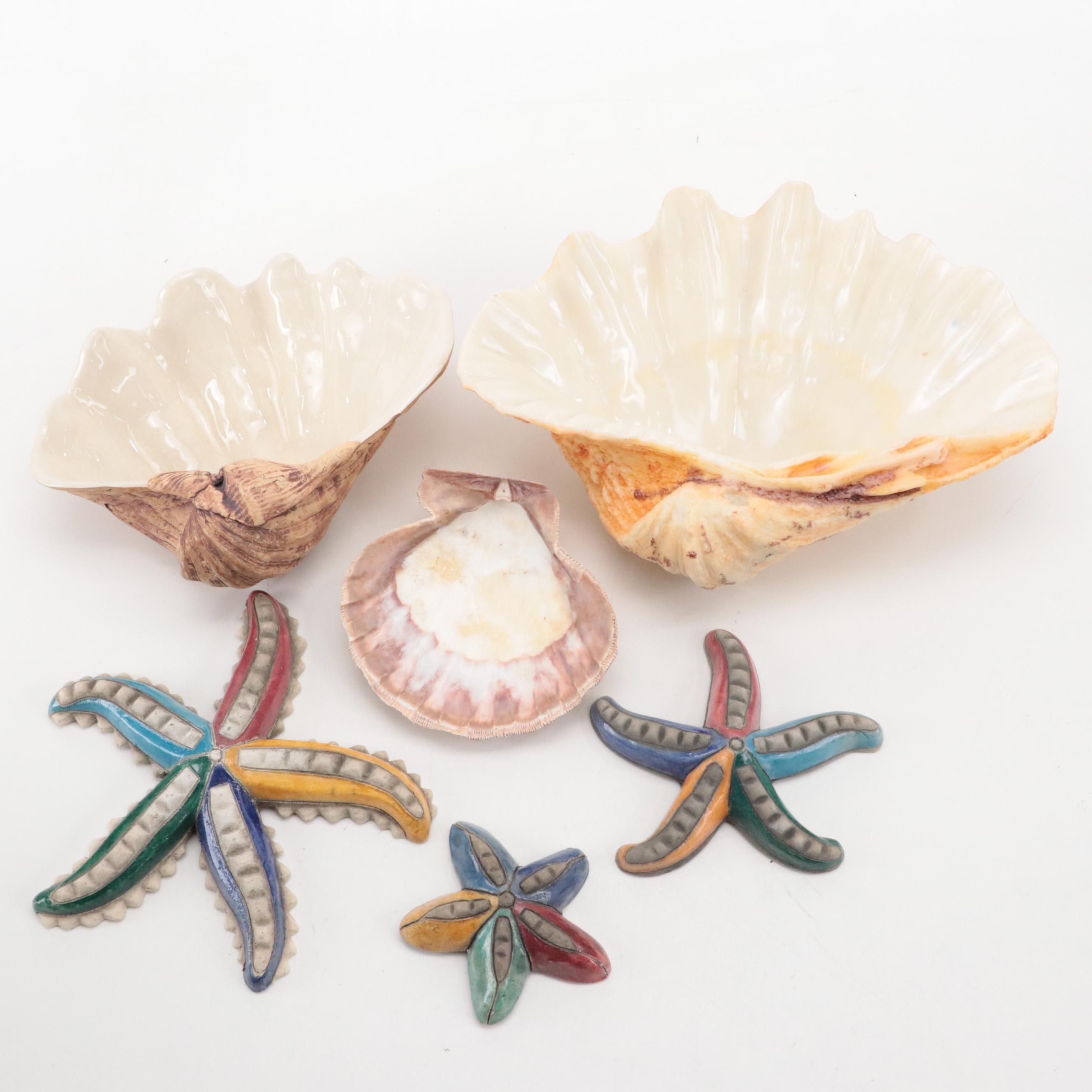 South African Art Pottery Seastar Wall Hangings with Clam Shell Décor