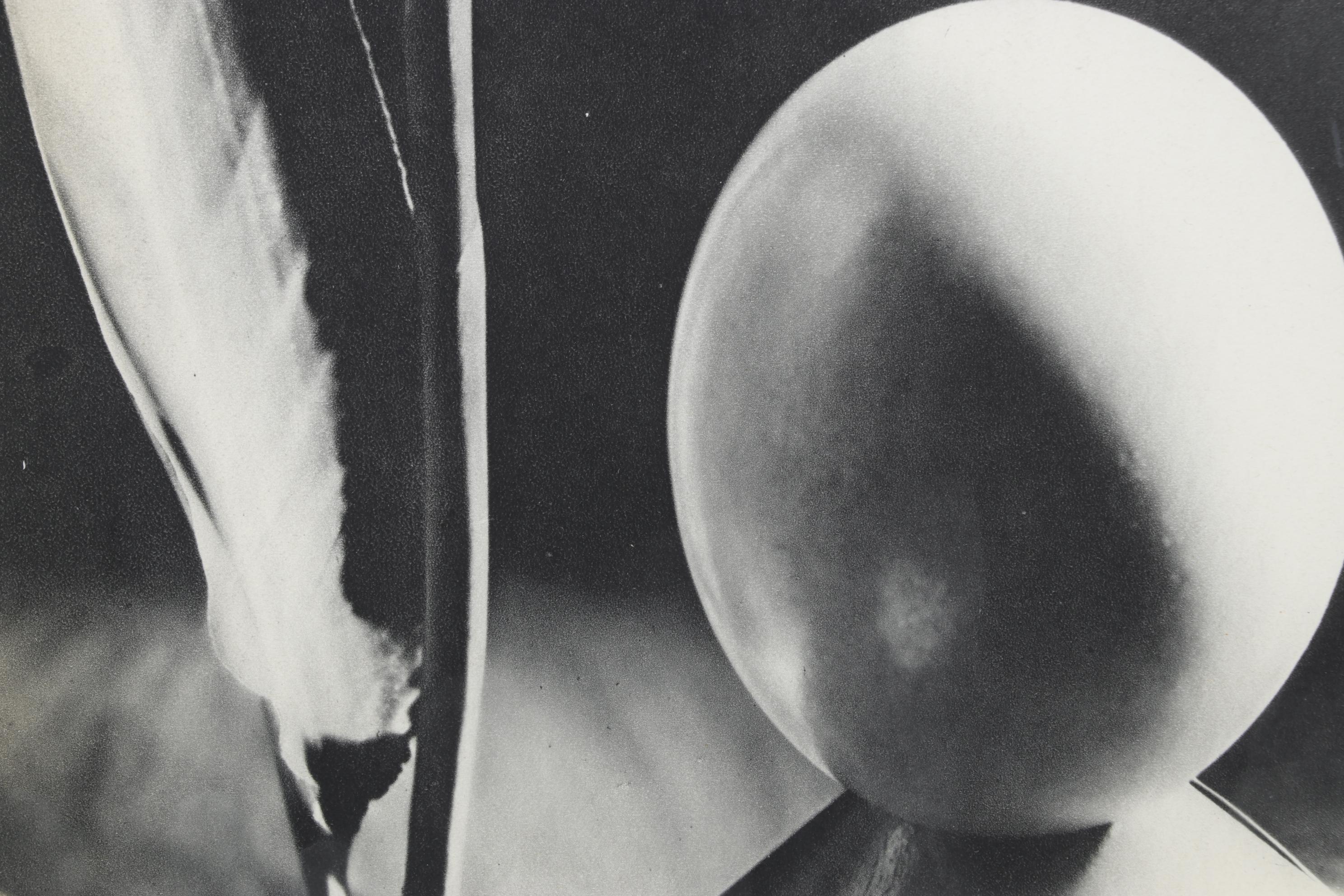 Man Ray Still Life Photogravure Of Bird of Paradise, 1934