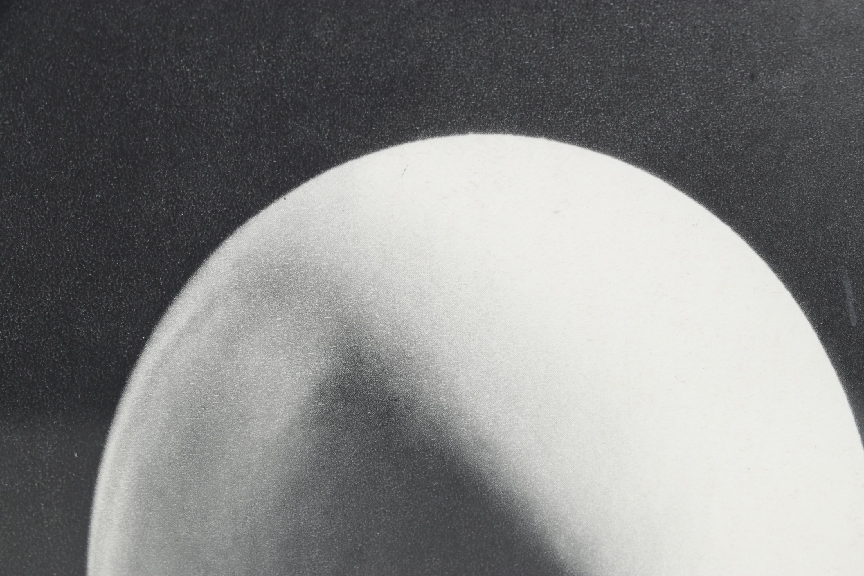 Man Ray Still Life Photogravure Of Bird of Paradise, 1934