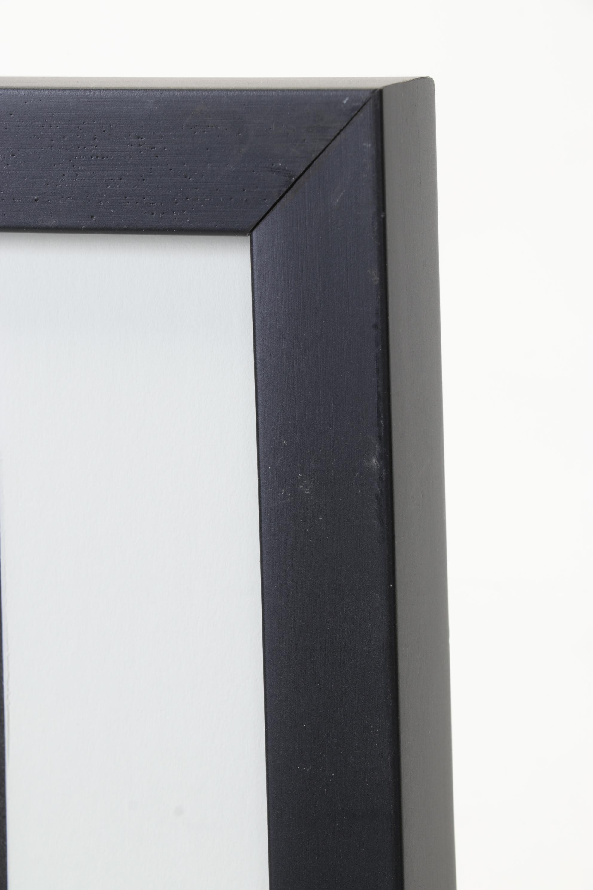 Man Ray Still Life Photogravure Of Bird of Paradise, 1934