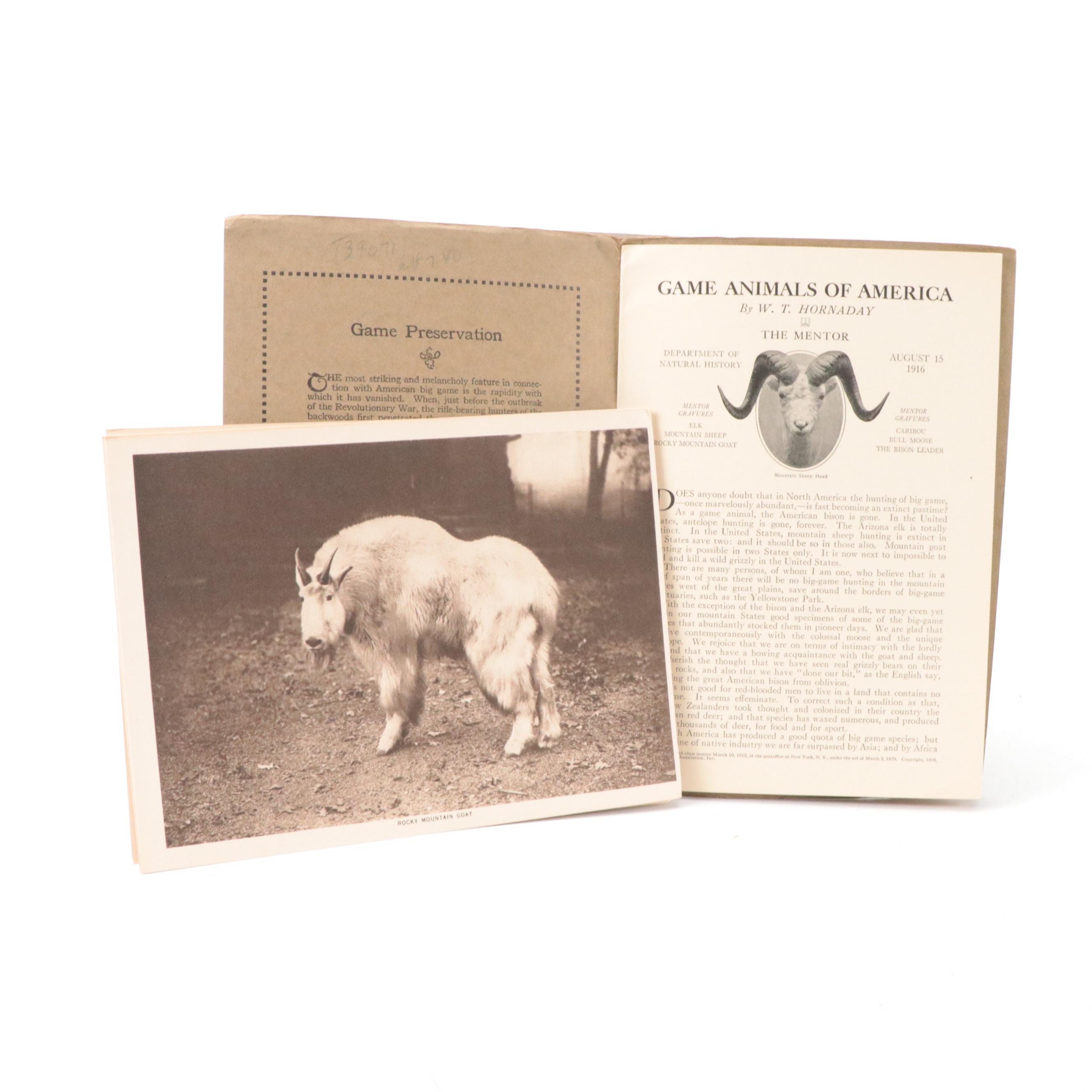 "The Mentor" Magazine Collection, Early 20th Century