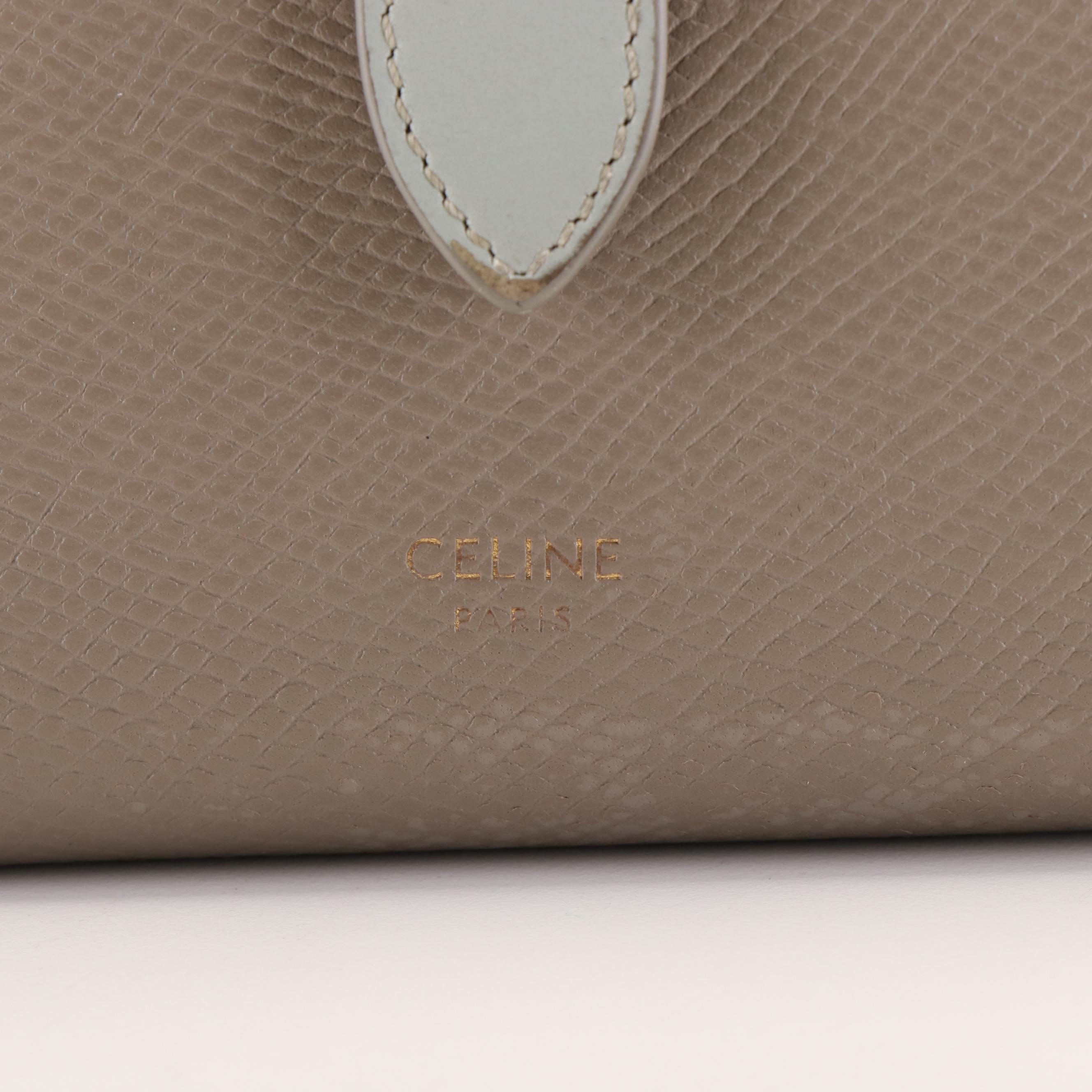 Celine Small Strap Wallet in Bicolor Calfskin Leather