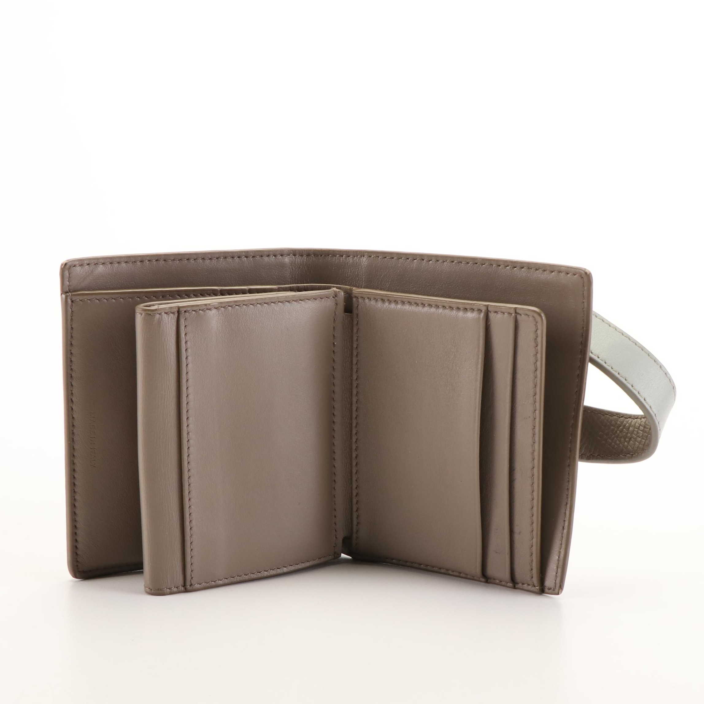 Celine Small Strap Wallet in Bicolor Calfskin Leather