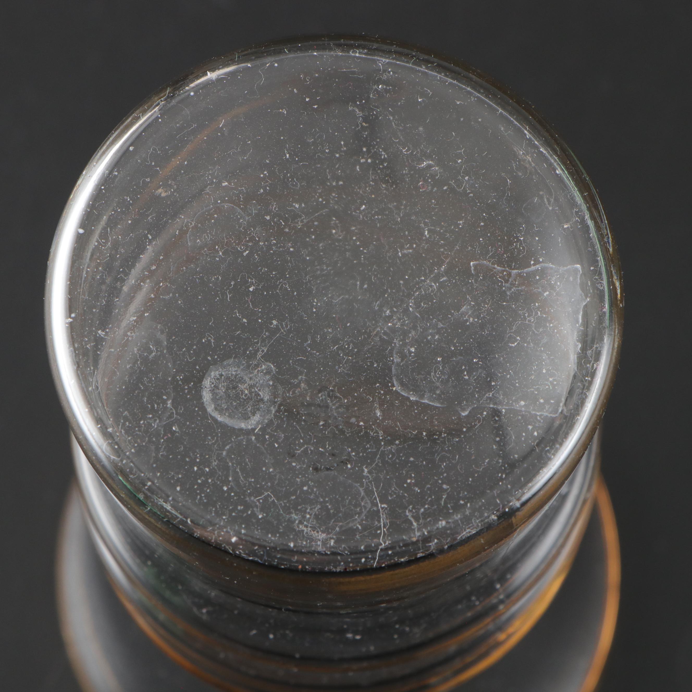 Terrace Ceramics Corn Motif Ceramic Bowls with More Table Accessories