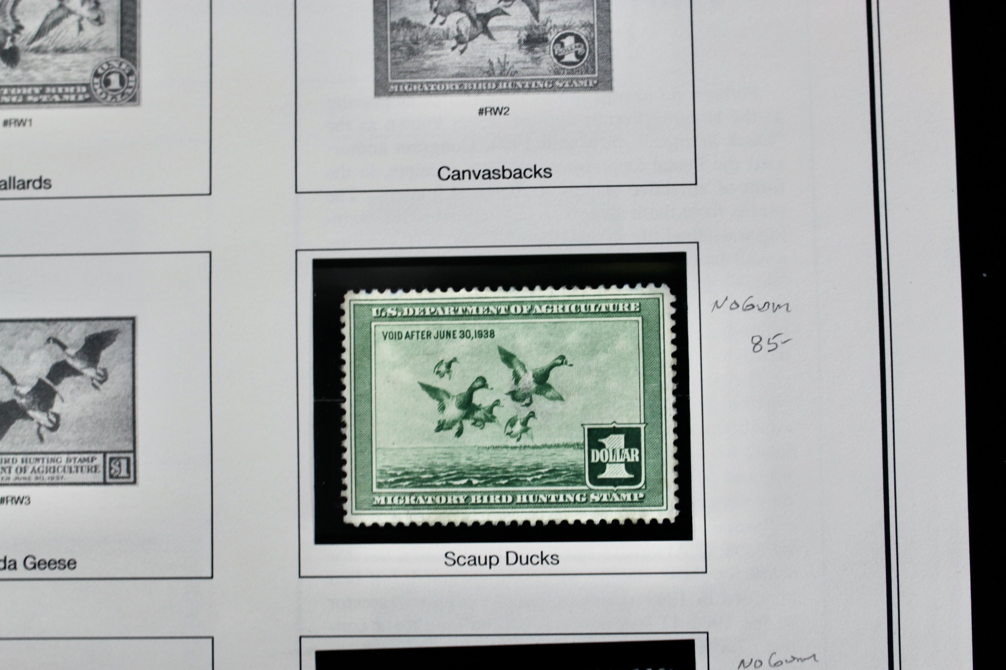 U.S. Duck Stamp Collection, Twenty Different Stamps
