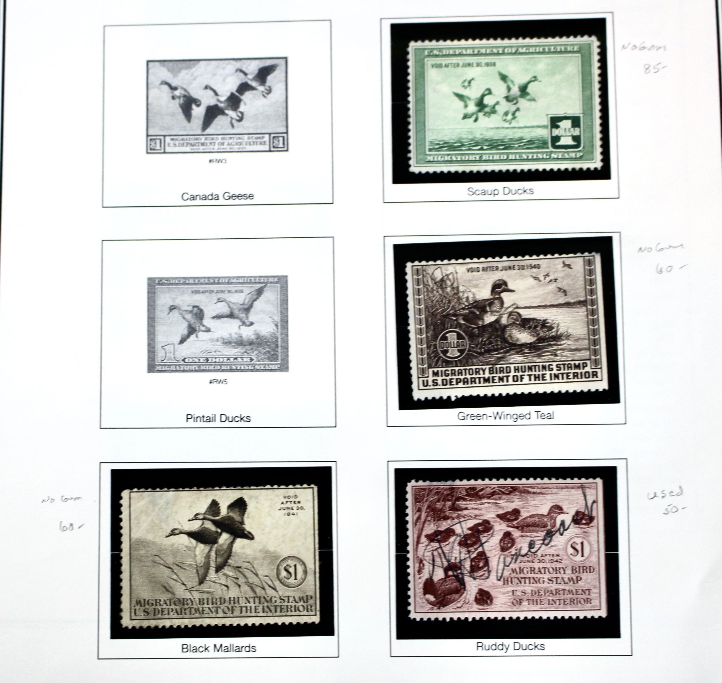 U.S. Duck Stamp Collection, Twenty Different Stamps