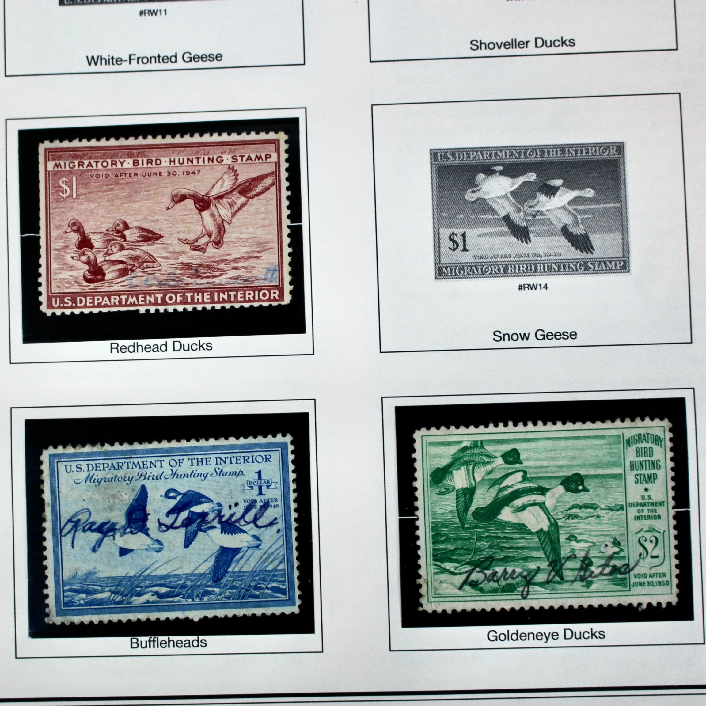 U.S. Duck Stamp Collection, Twenty Different Stamps