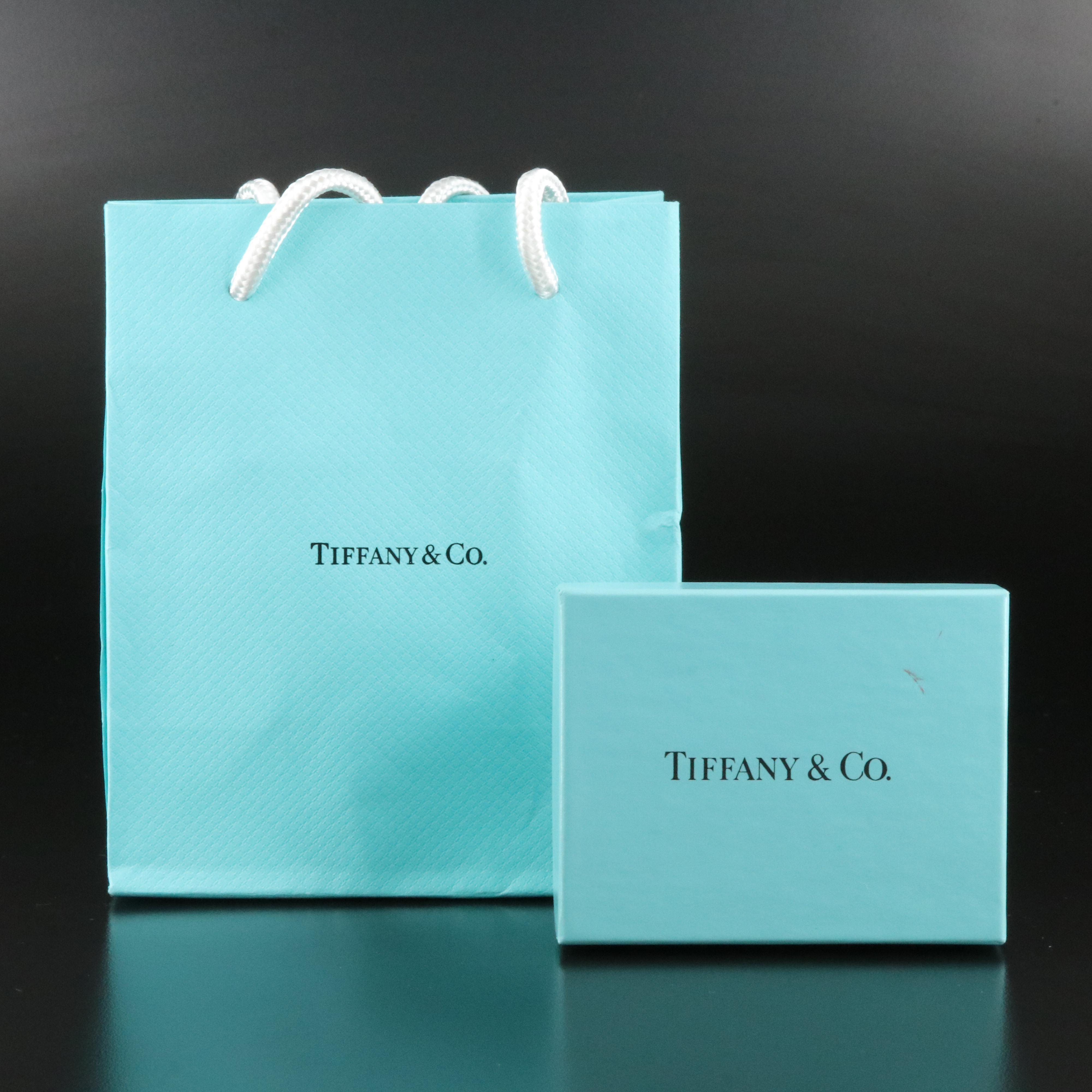 Tiffany & Co. 1837 Sterling Interlocking Circles Lariat Necklace